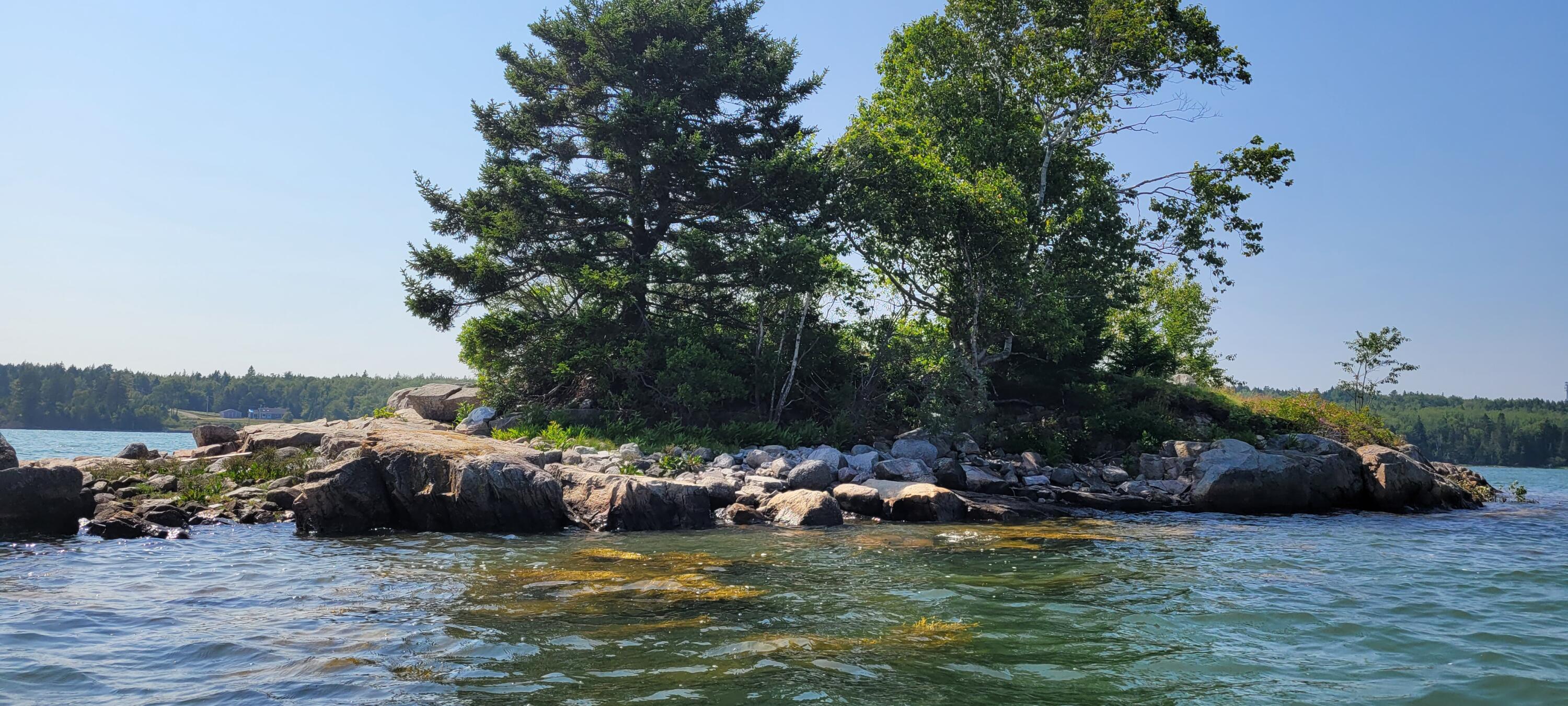 main property photo 62