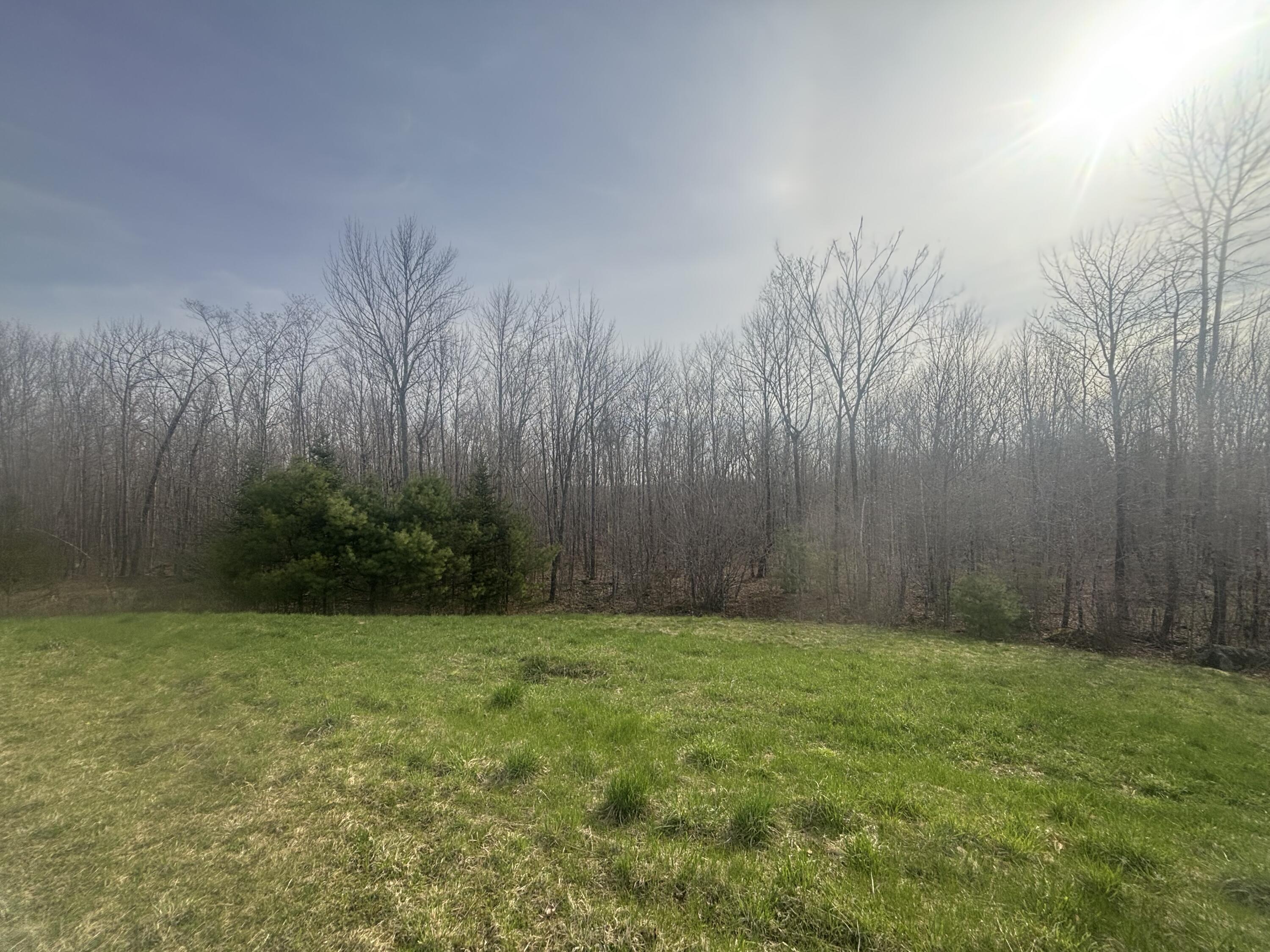 main property photo 12