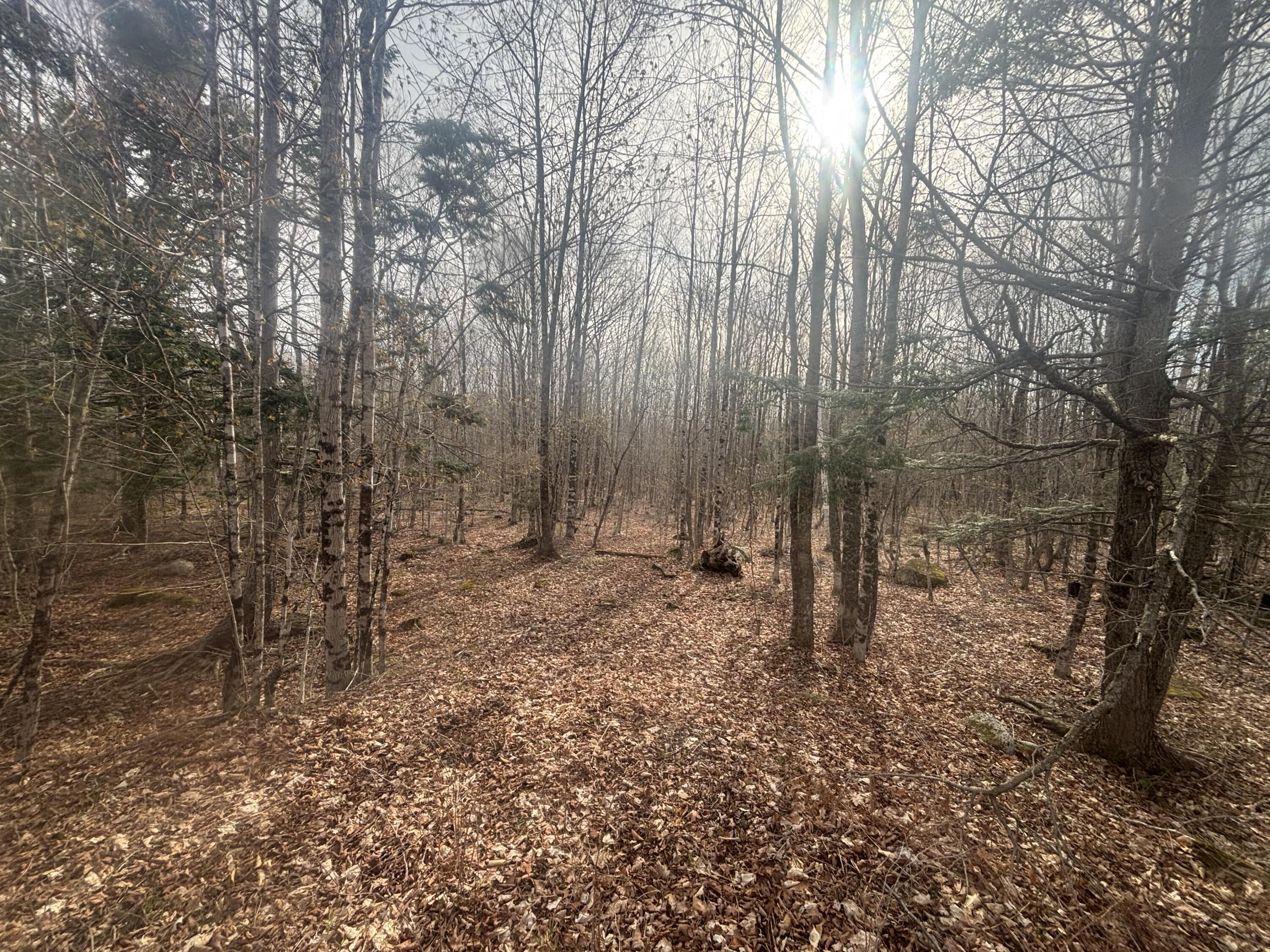 main property photo 21