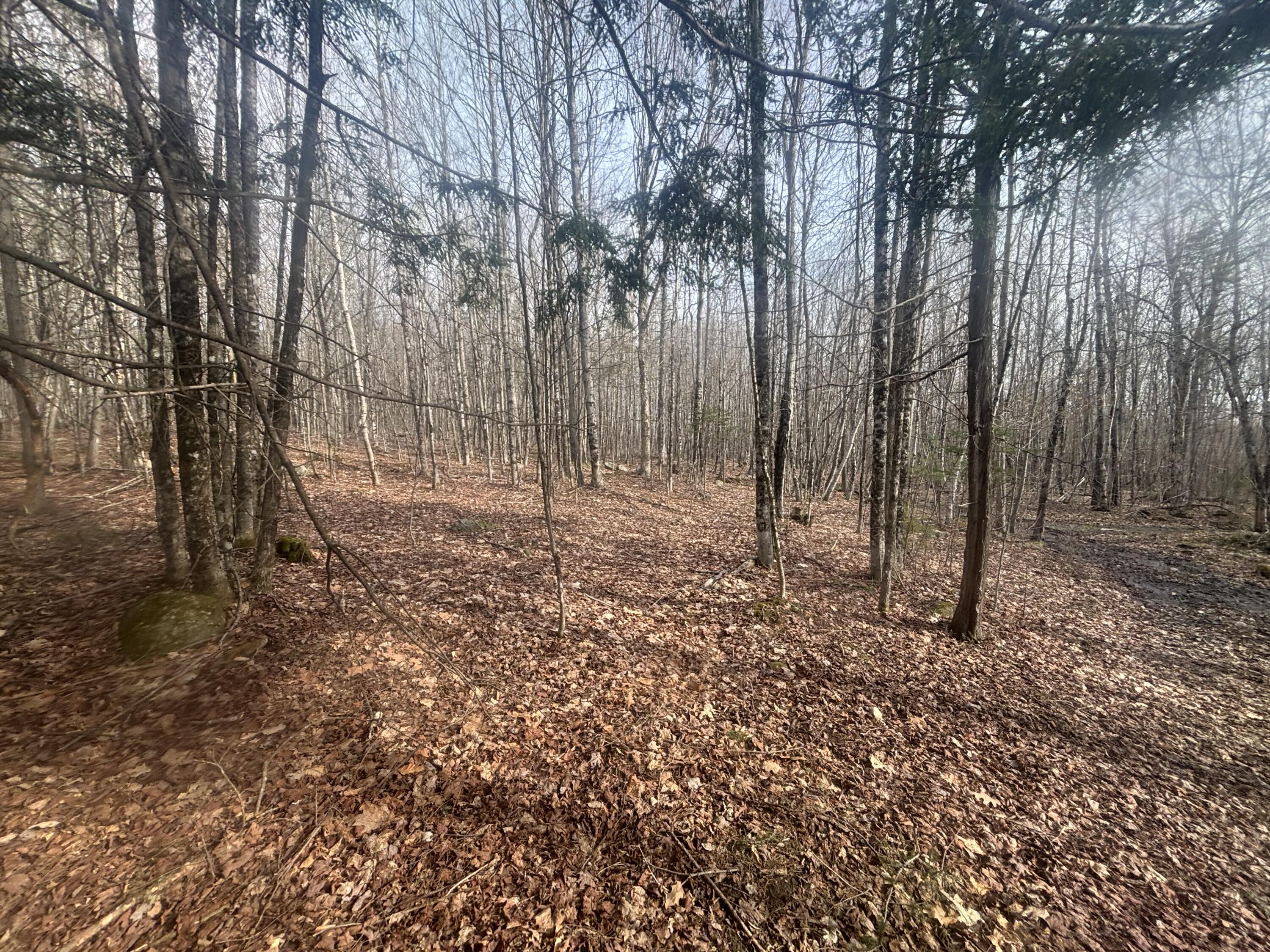 main property photo 7