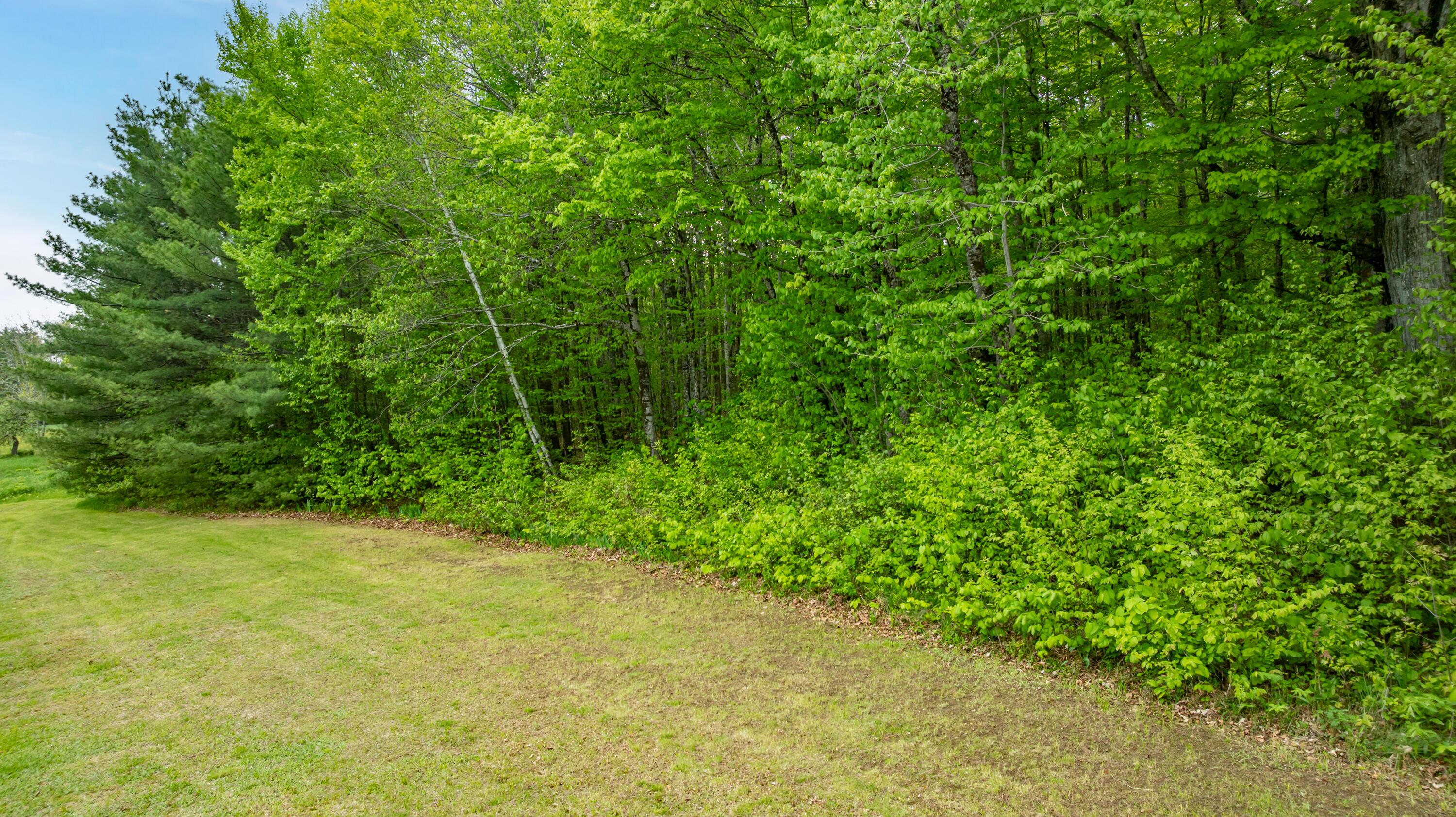main property photo 57