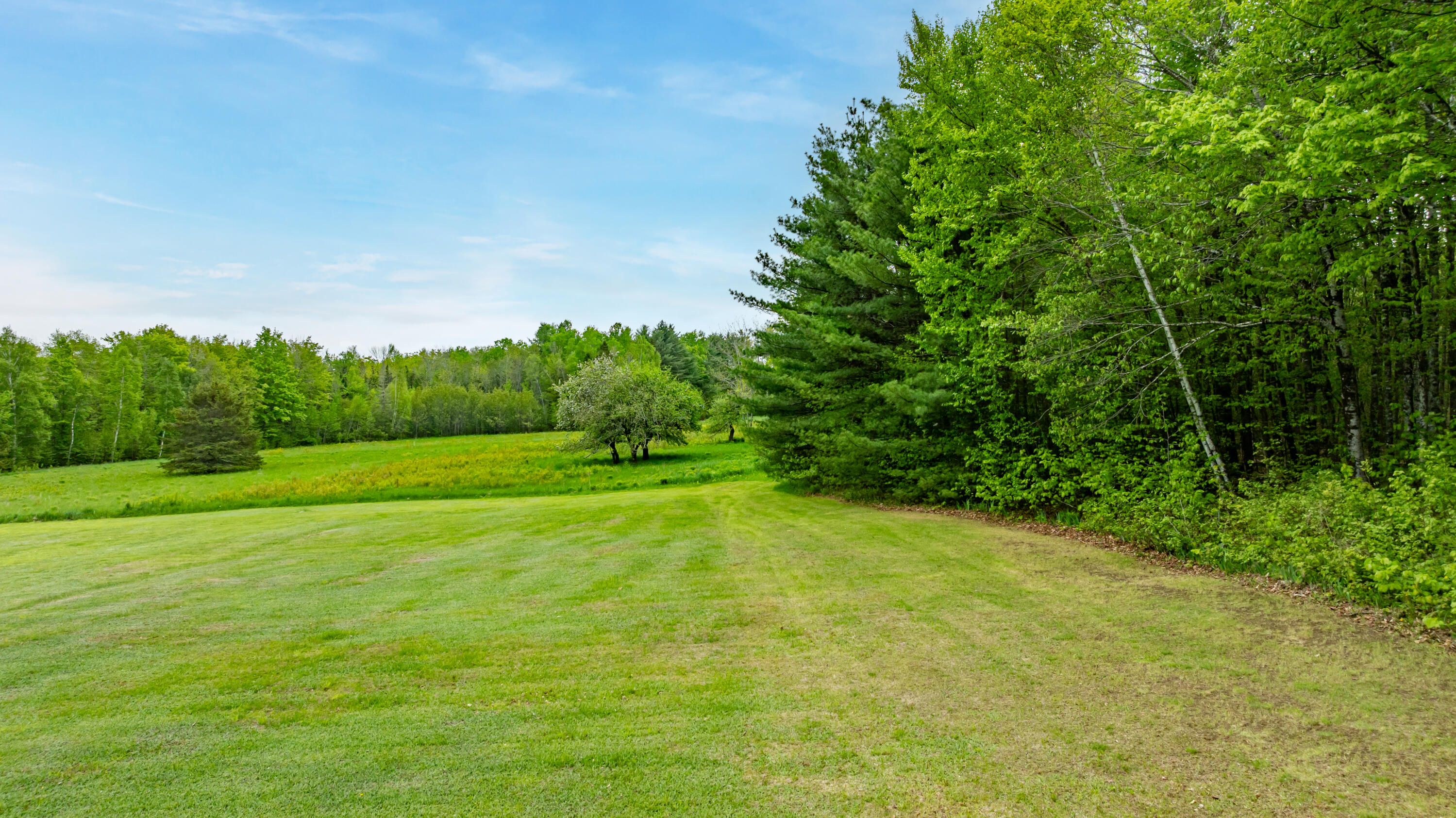 main property photo 58