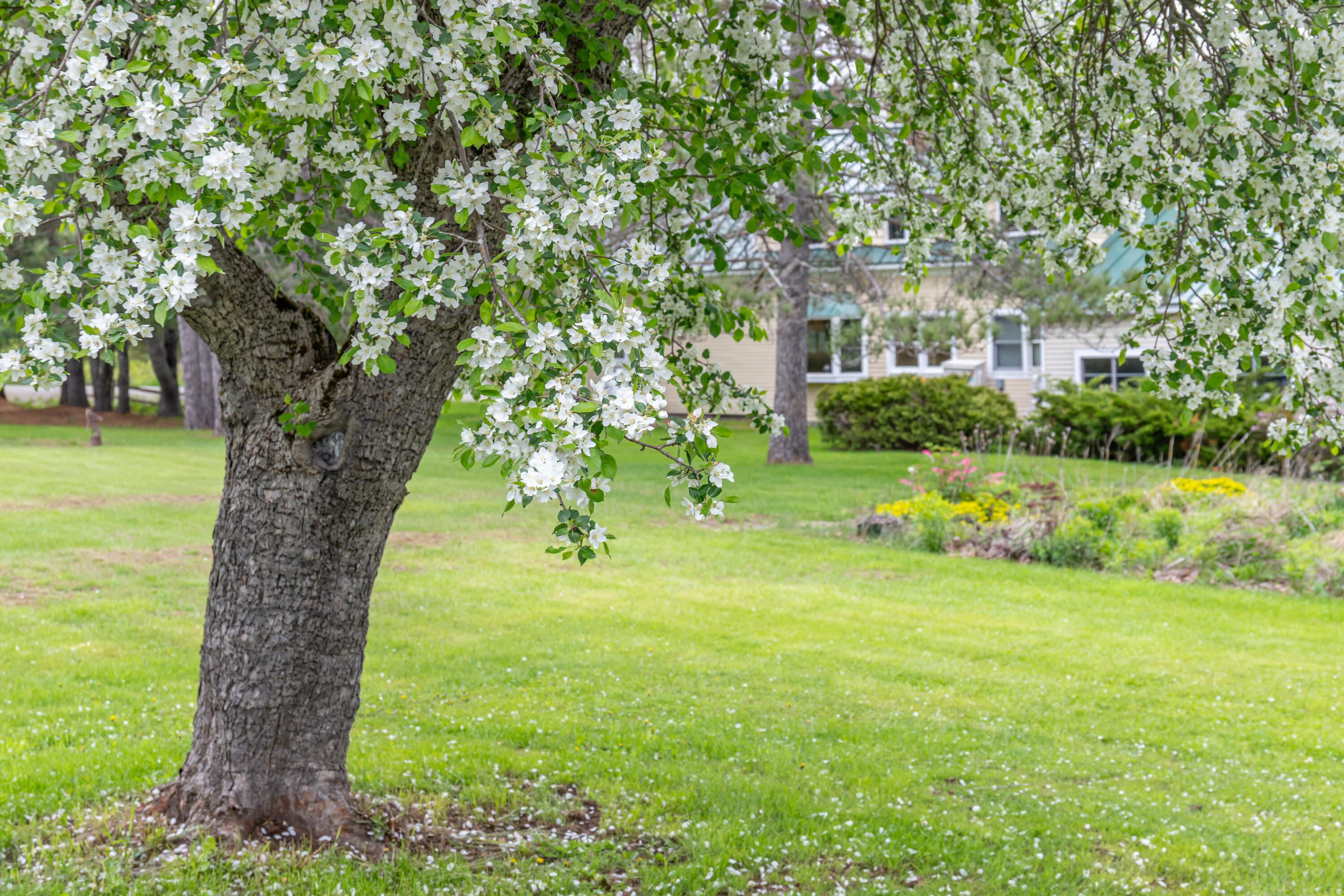 main property photo 64