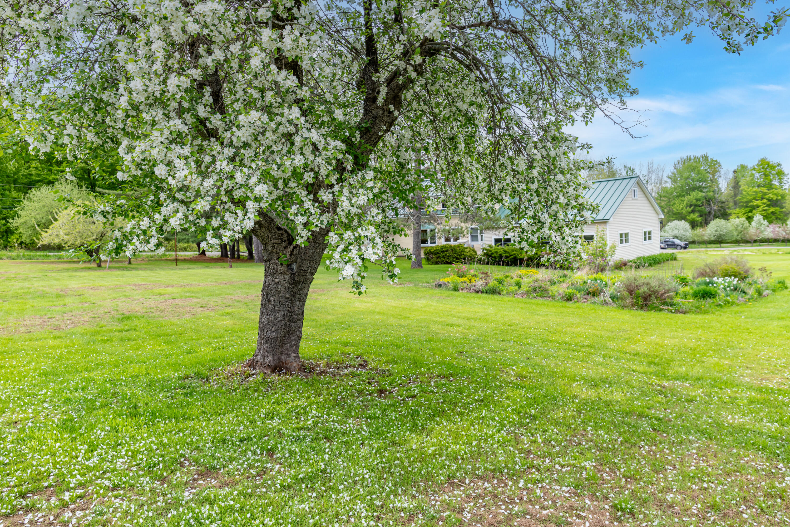 main property photo 65