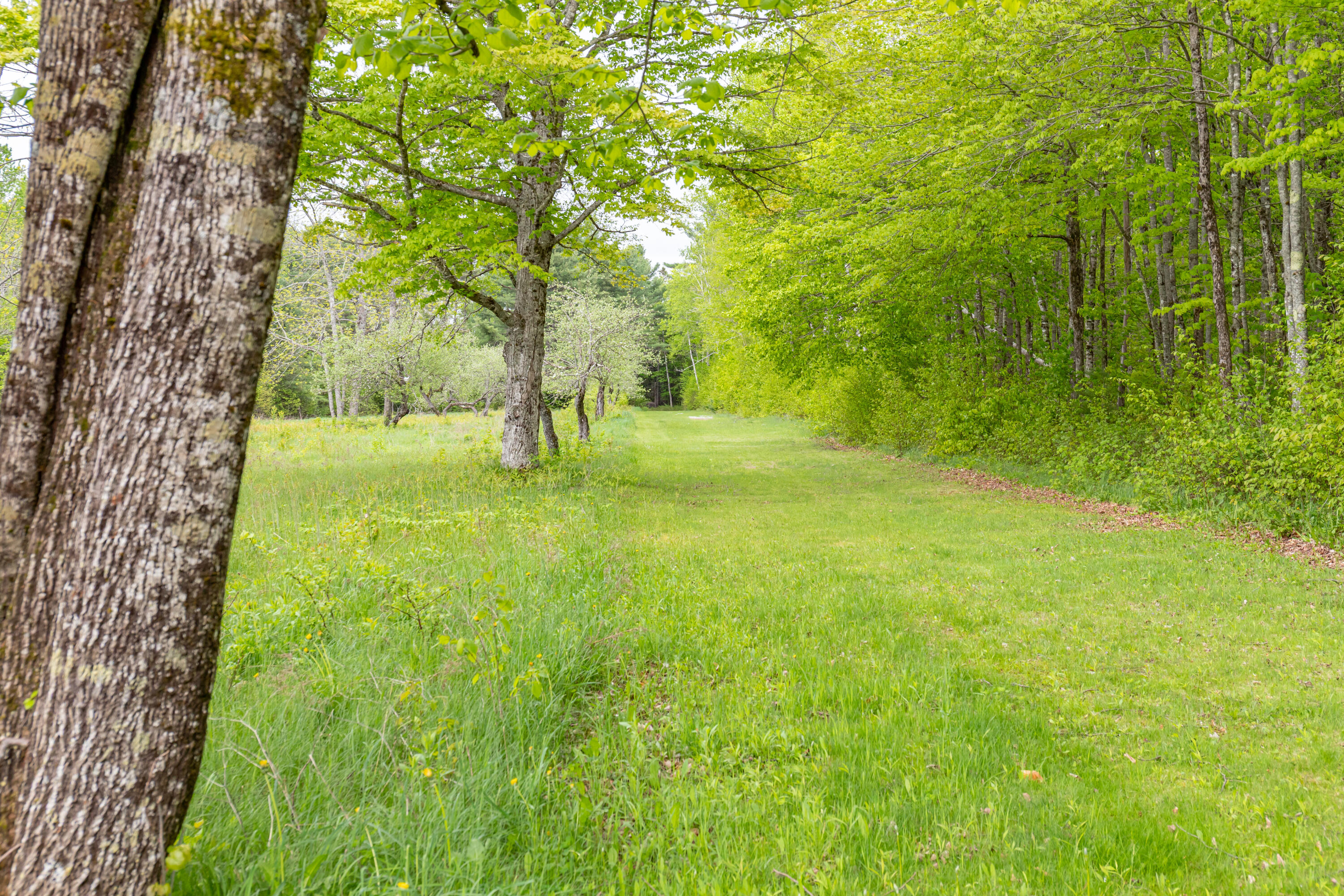 main property photo 68