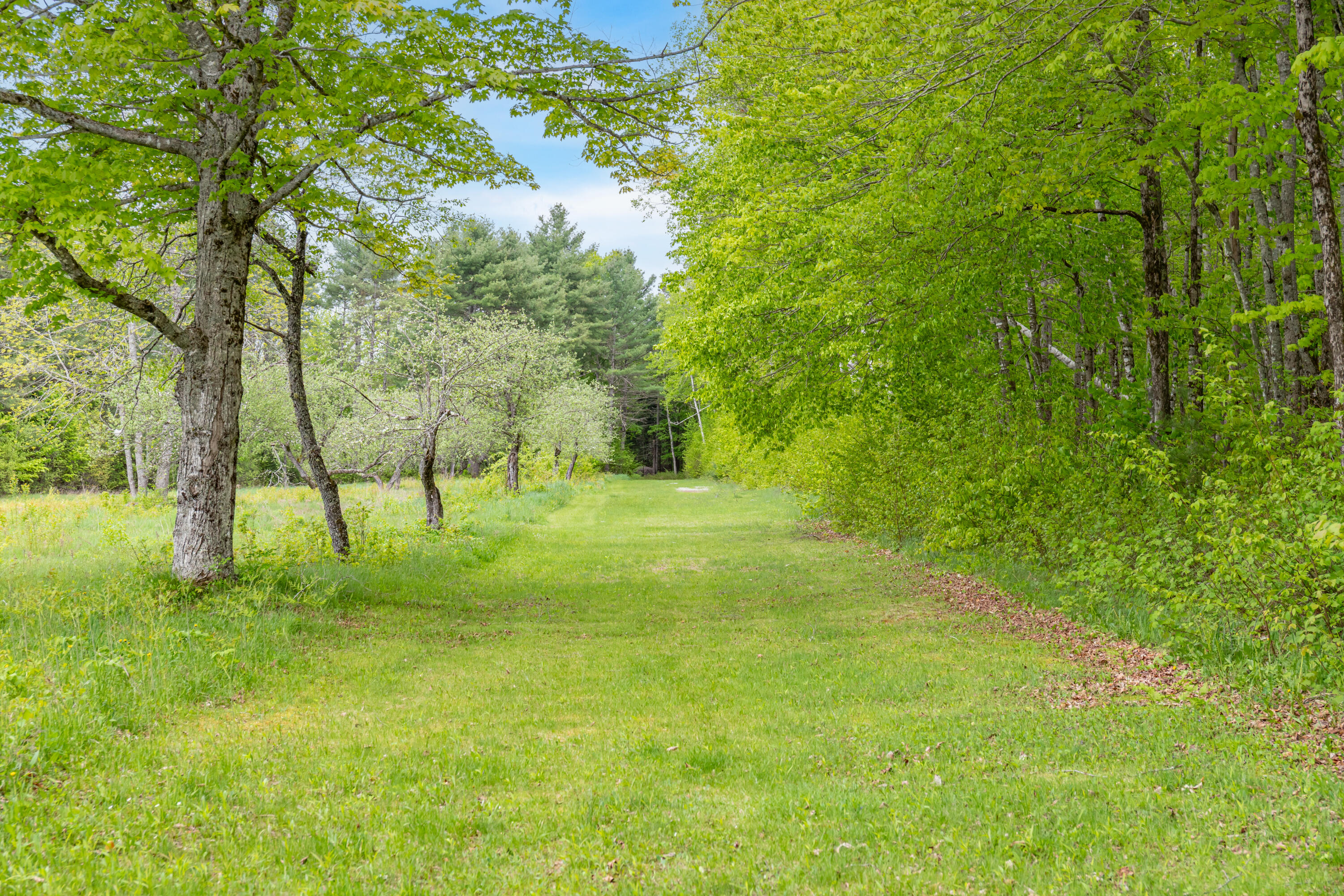 main property photo 69