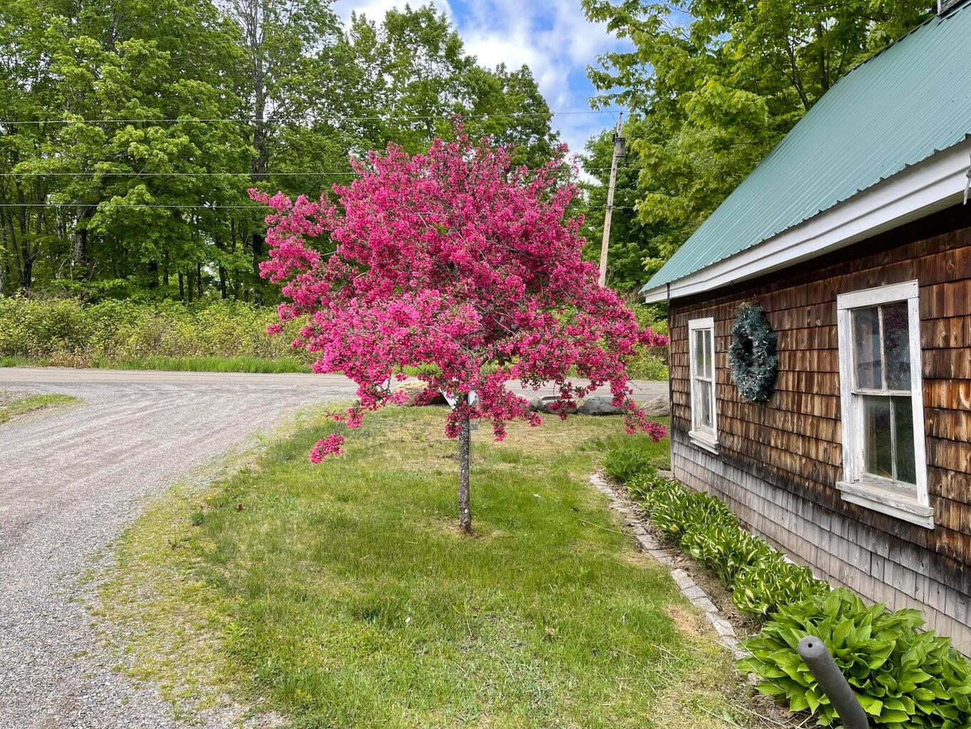 main property photo 77