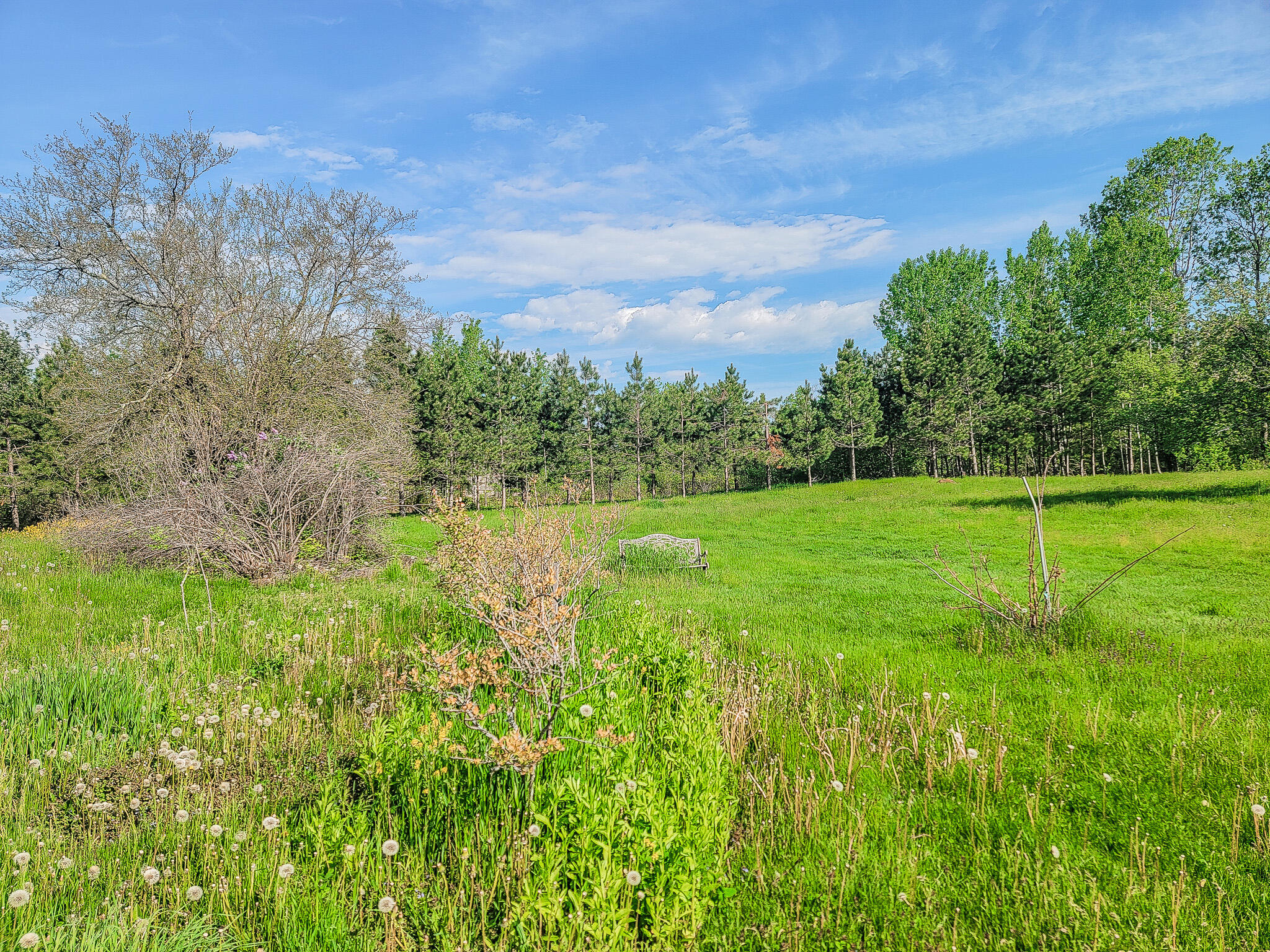 main property photo 51