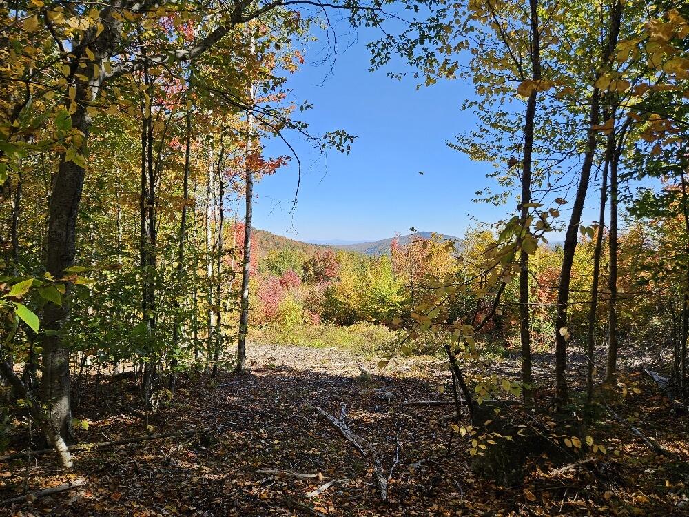 main property photo 12