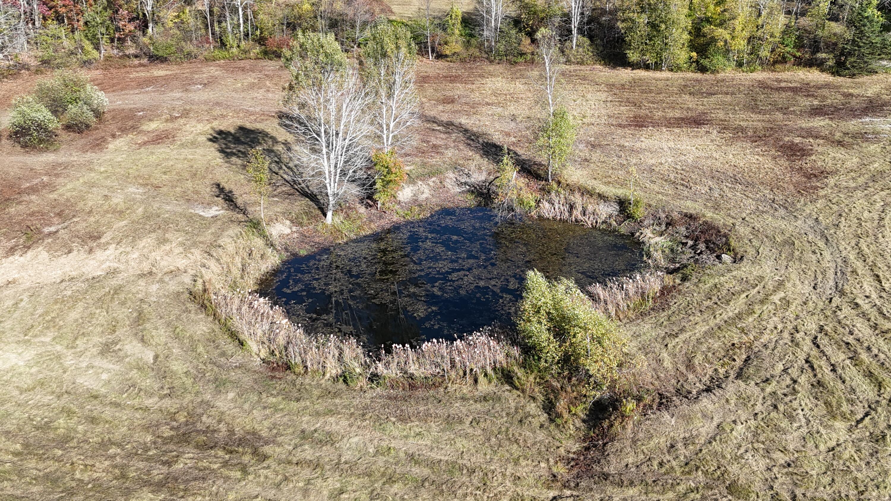 main property photo 87