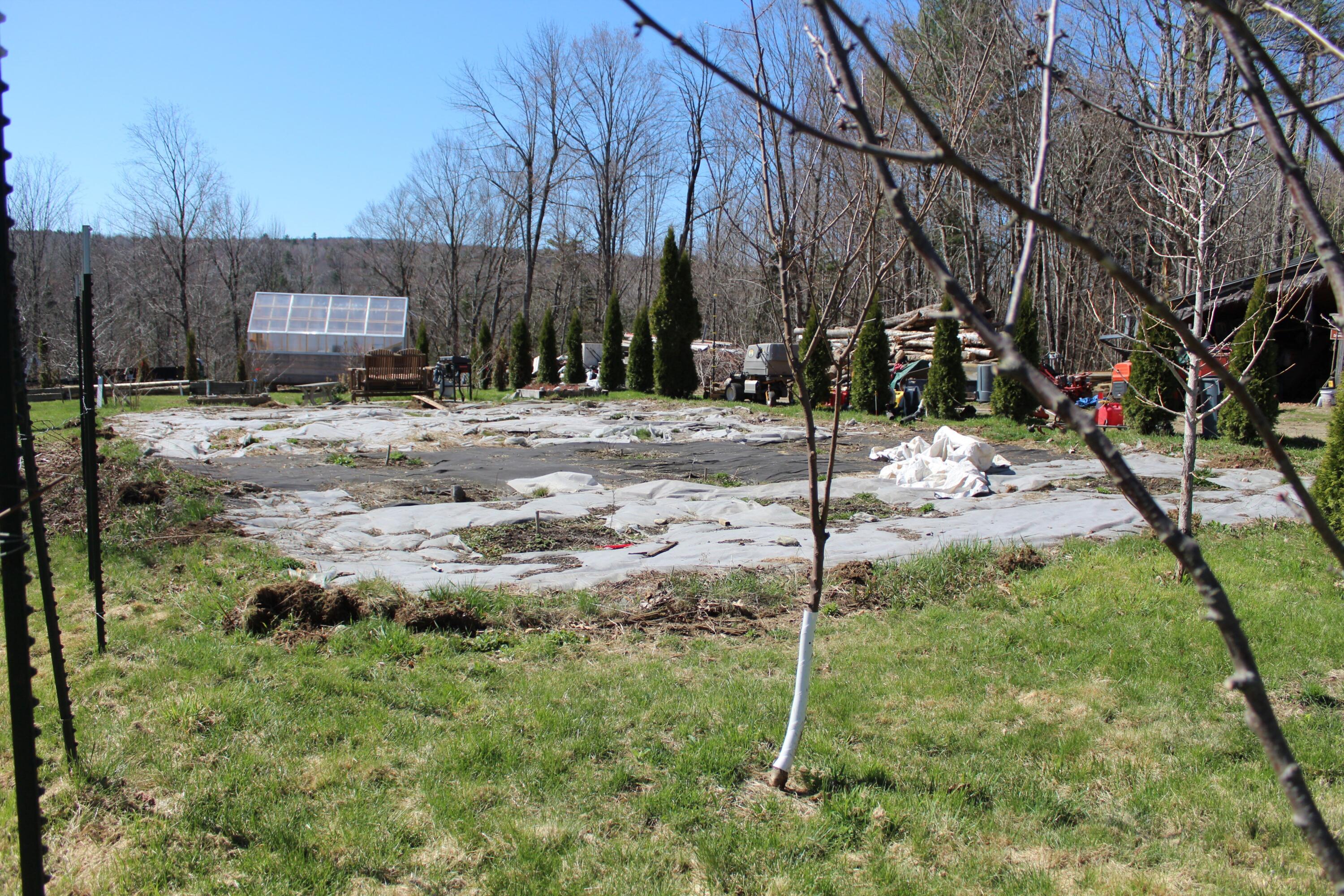main property photo 58