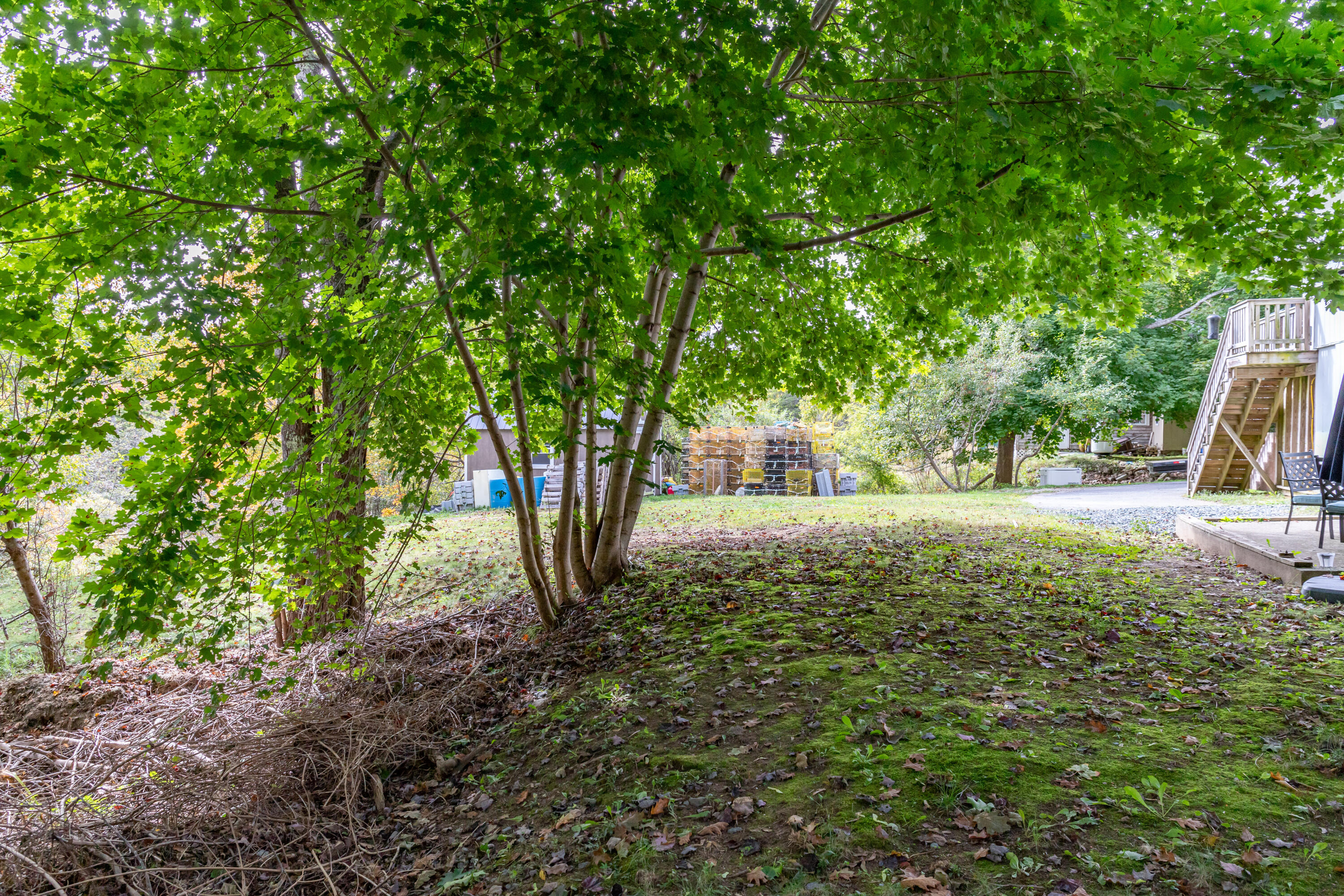 main property photo 62