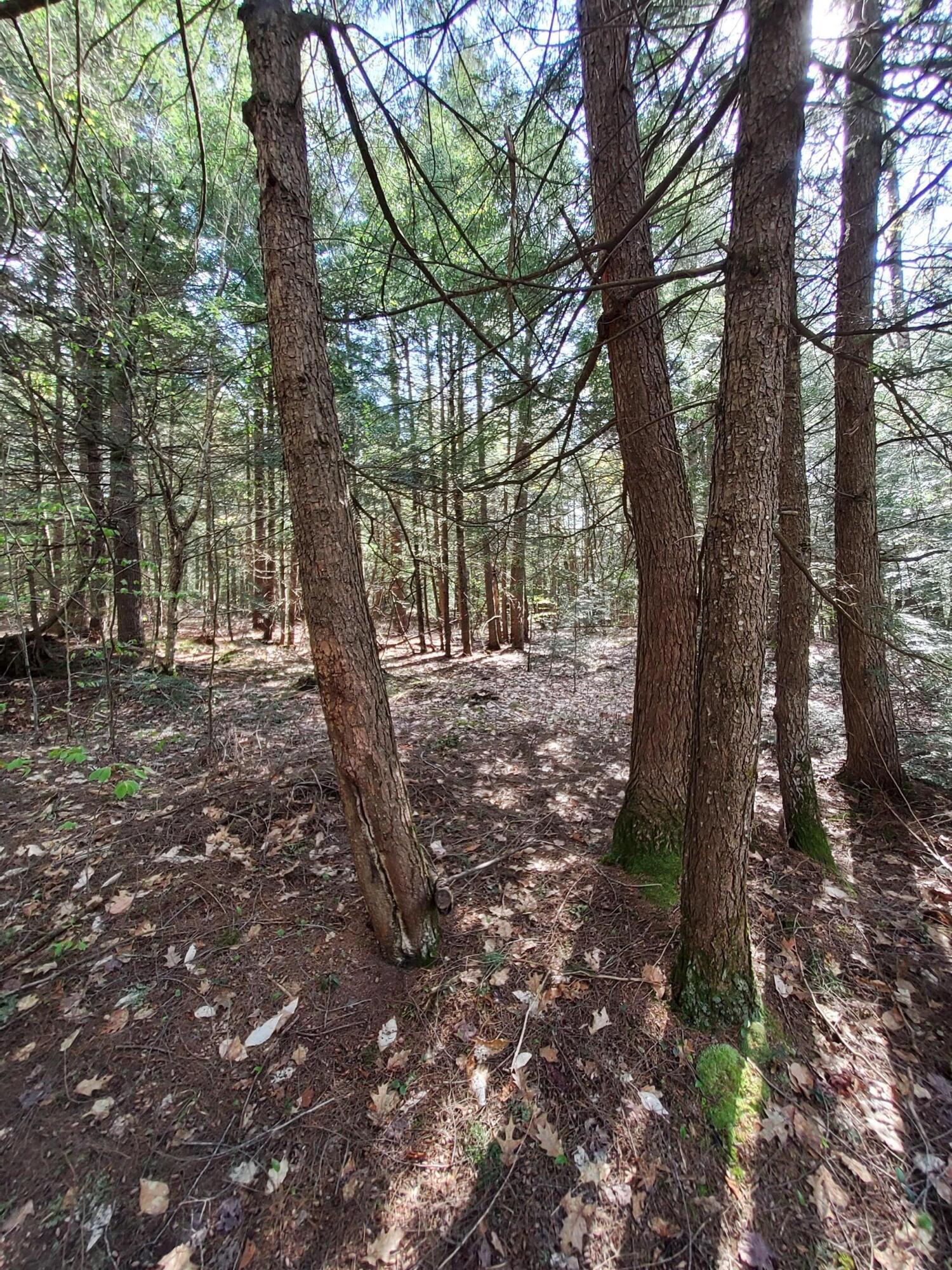 main property photo 25