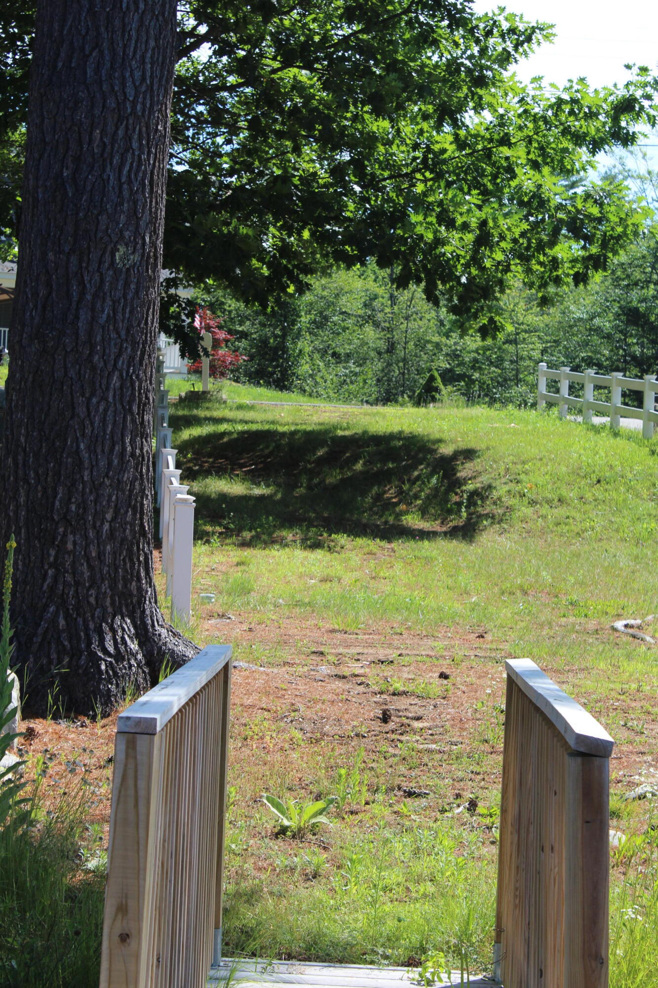main property photo 39