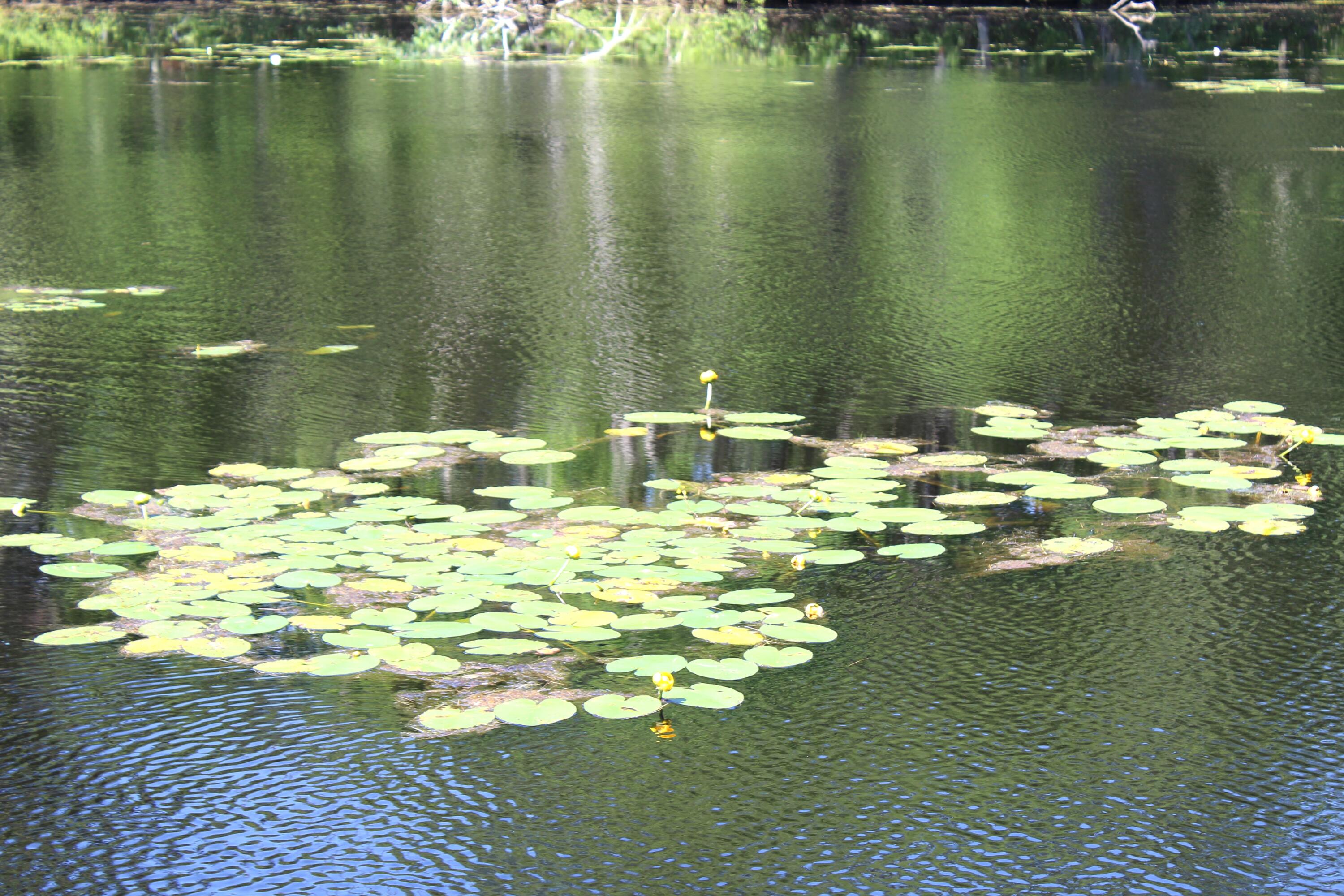 main property photo 42