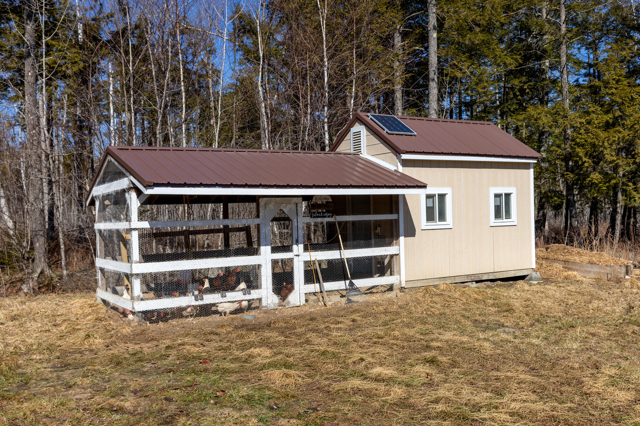 main property photo 40