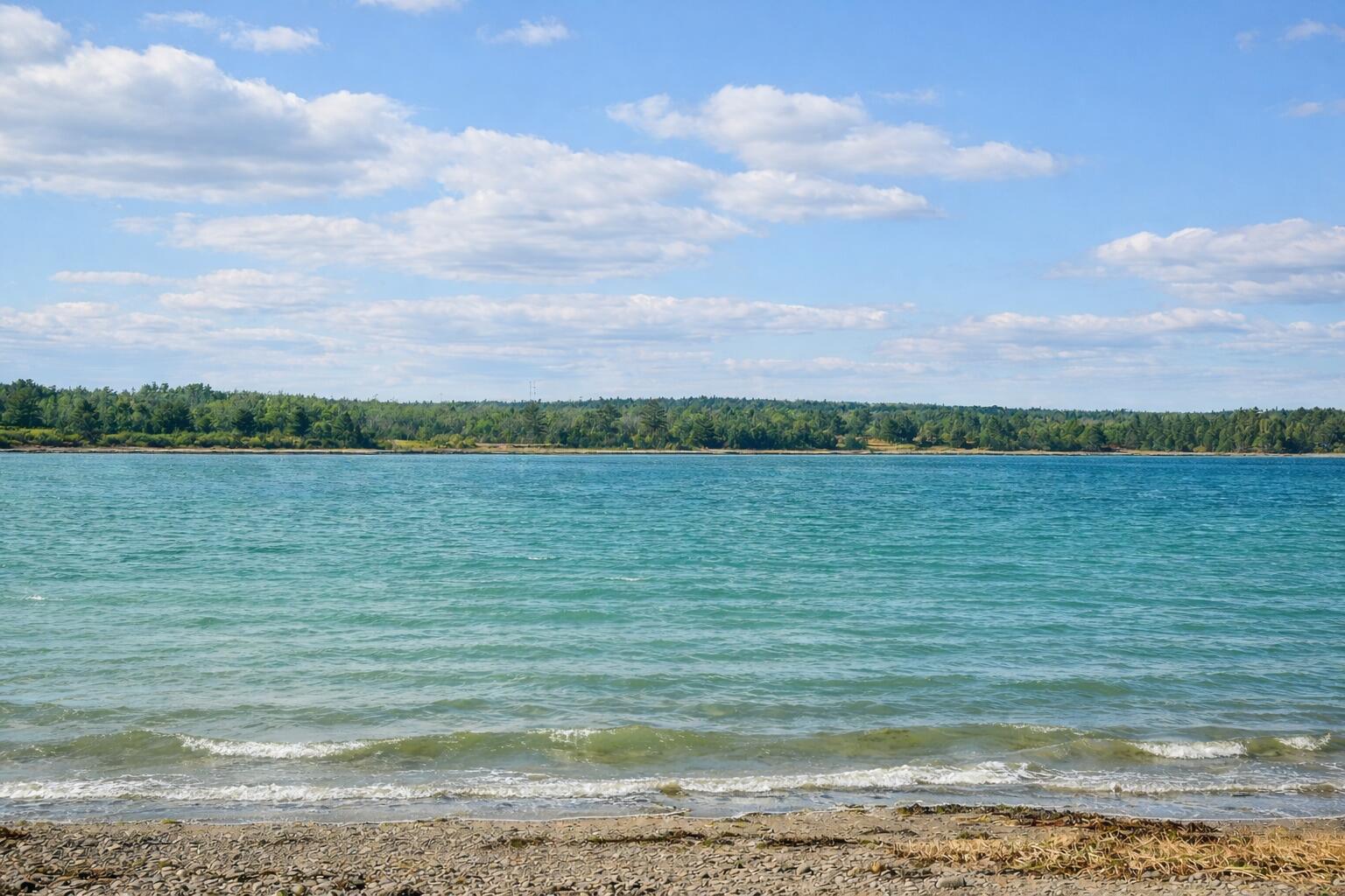 main property photo 63