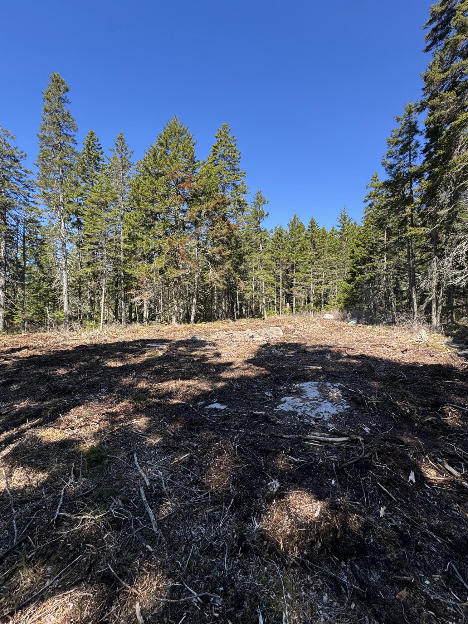 main property photo 17
