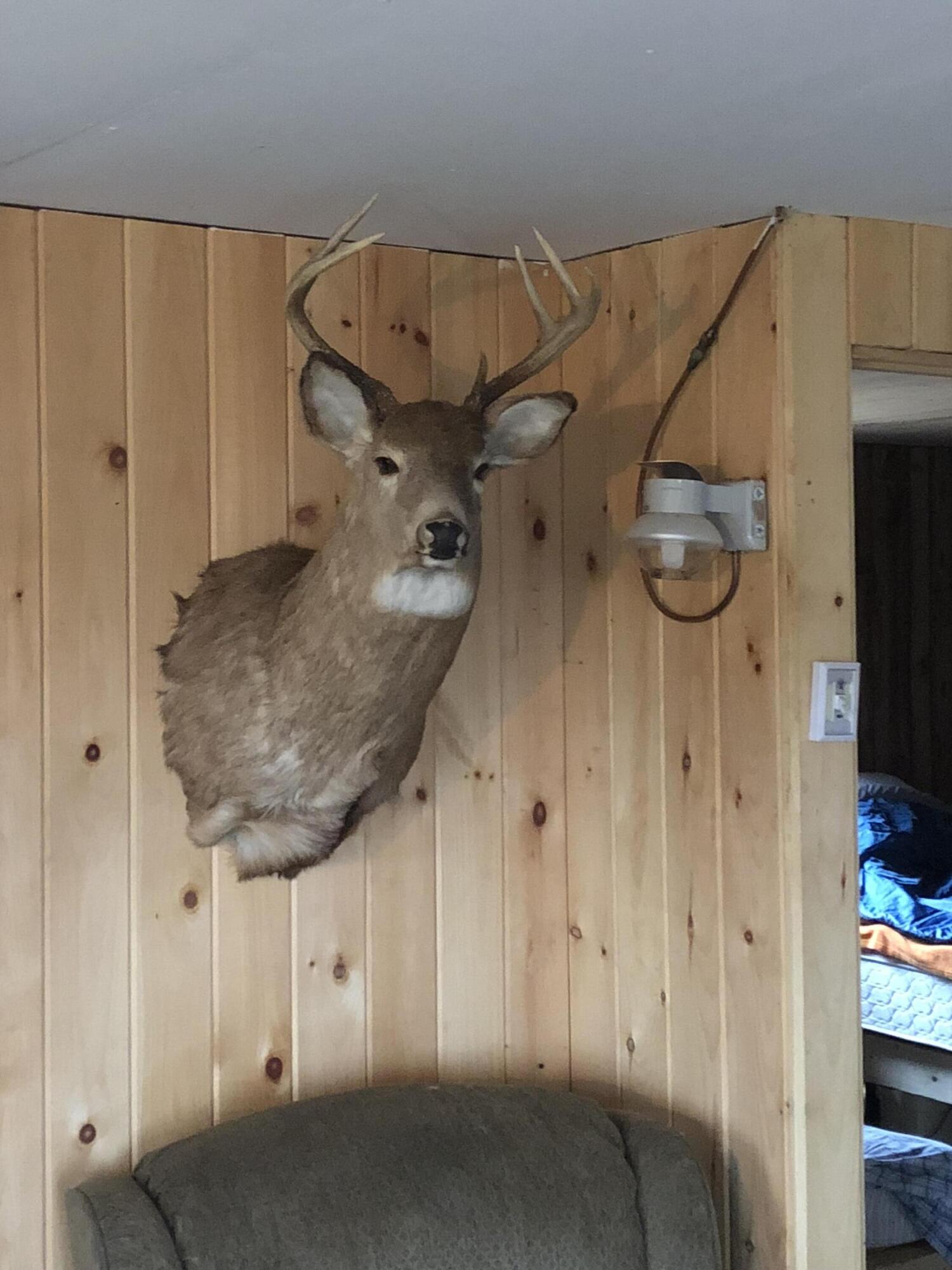 property viewer photo 1