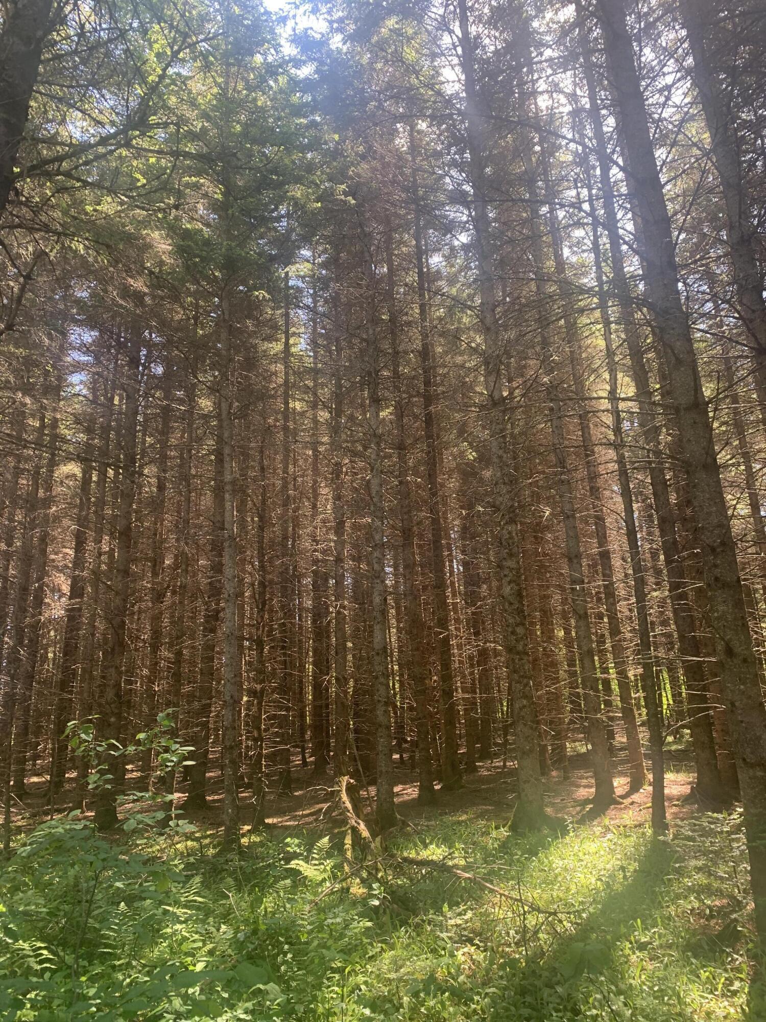 main property photo 25
