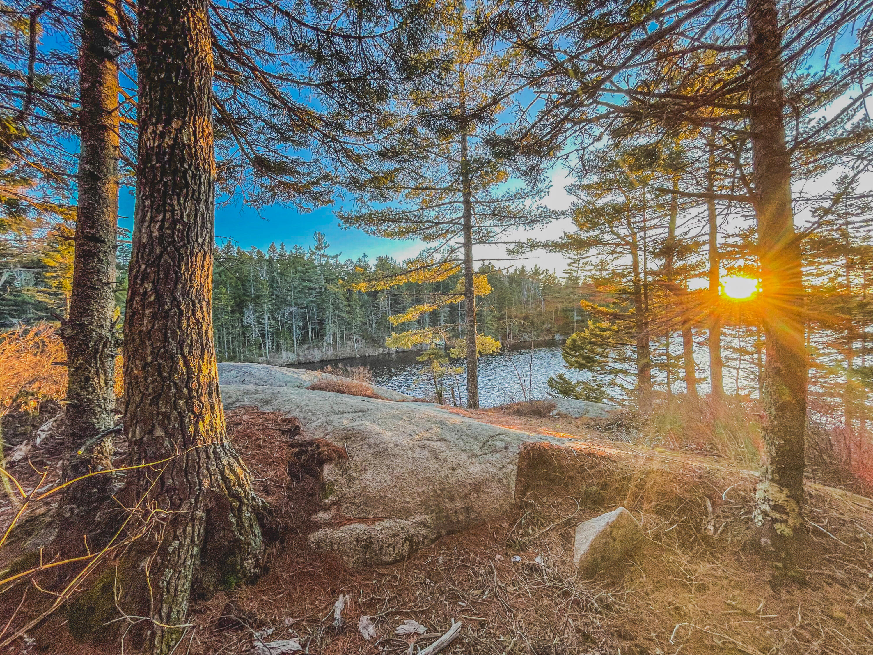 main property photo 33