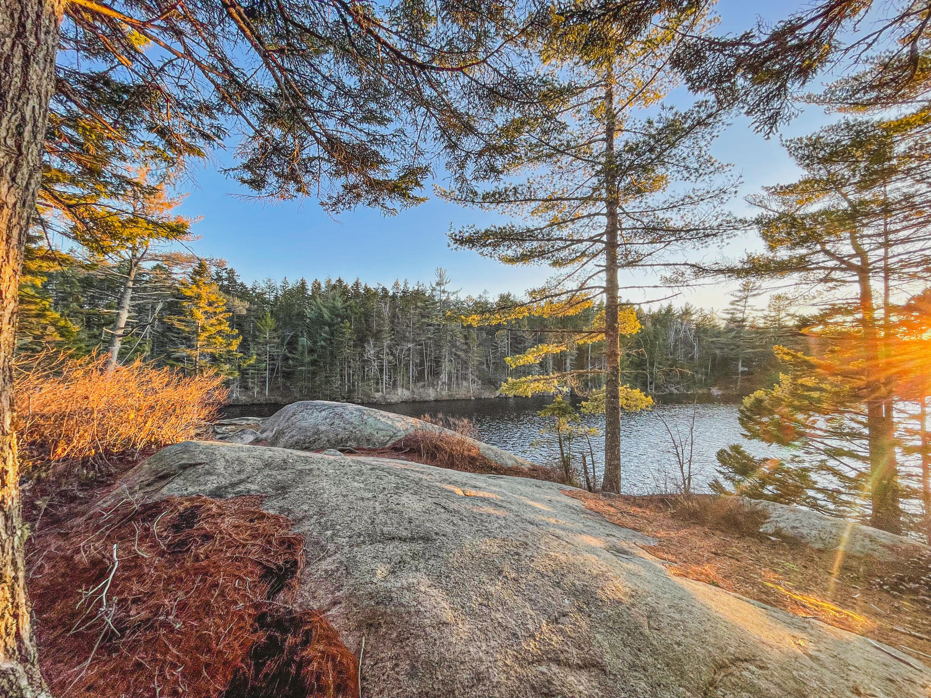 main property photo 34
