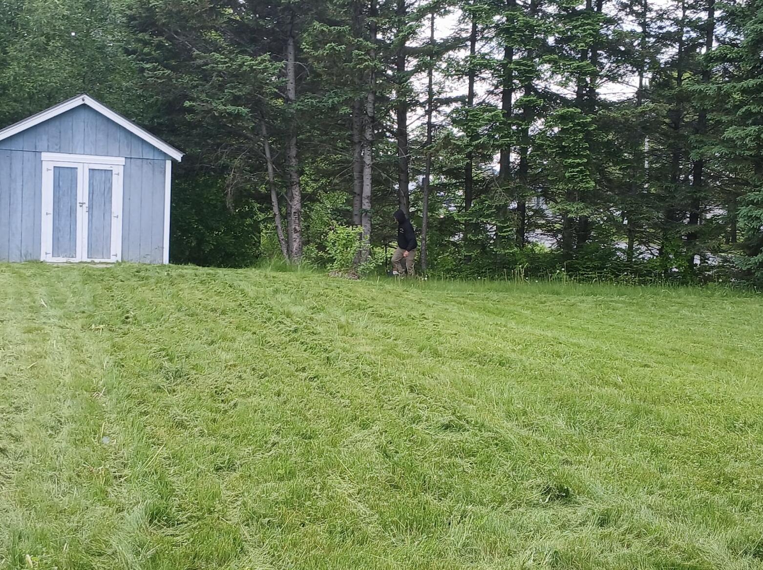 main property photo 33