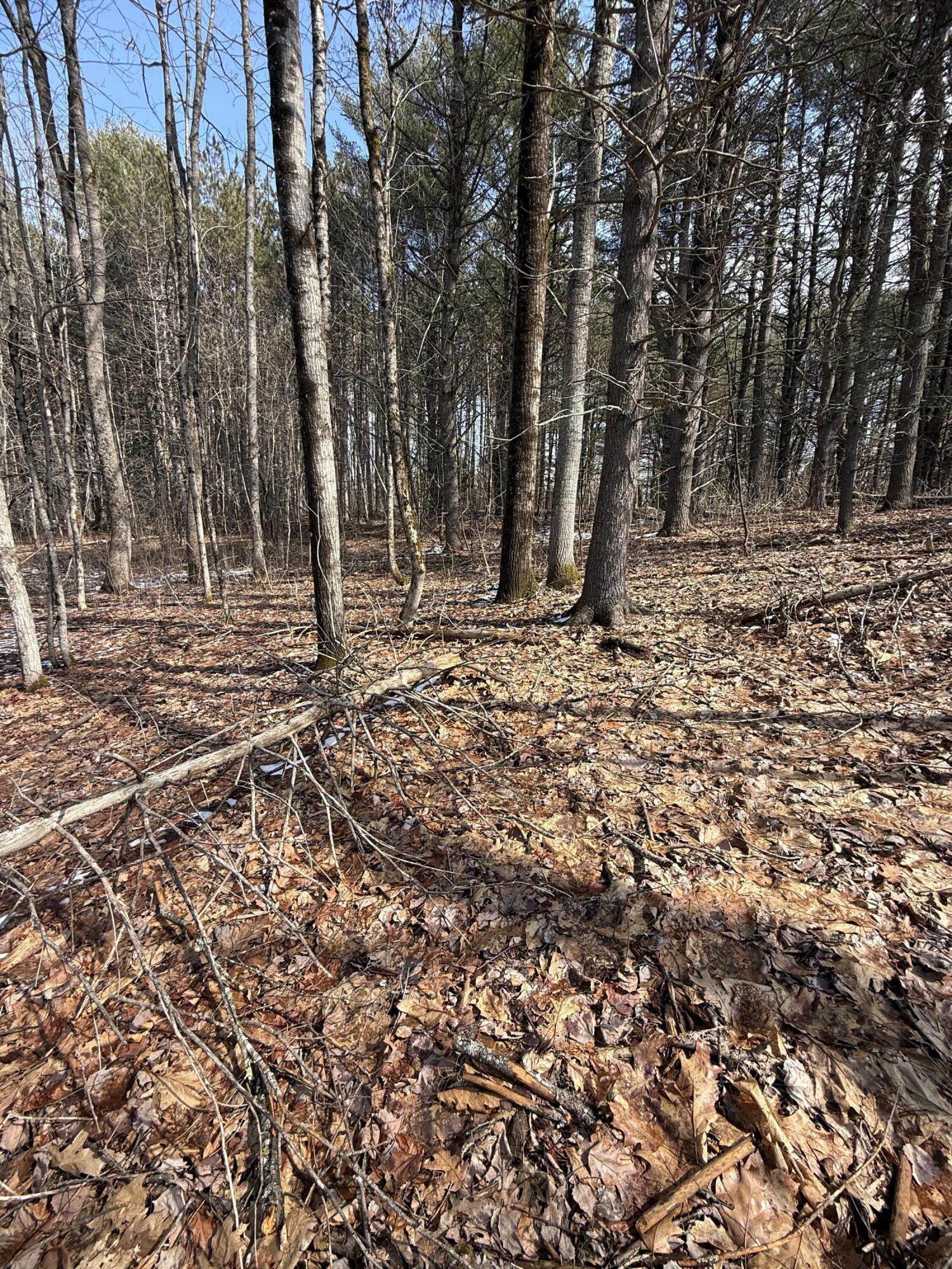 main property photo 16