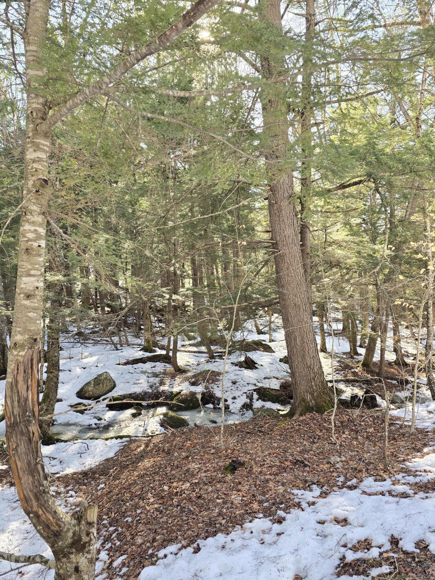 main property photo 55