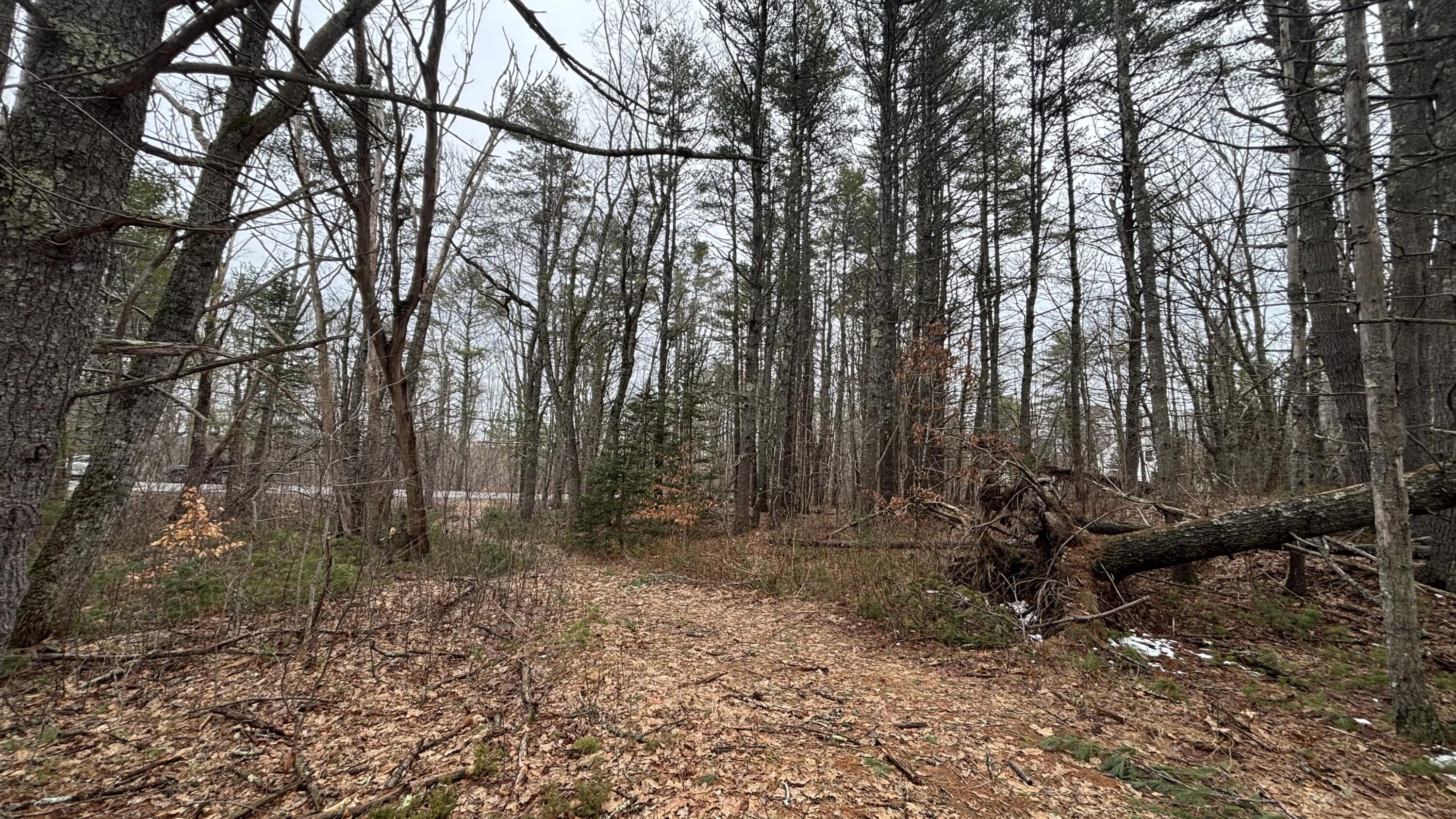 main property photo 7