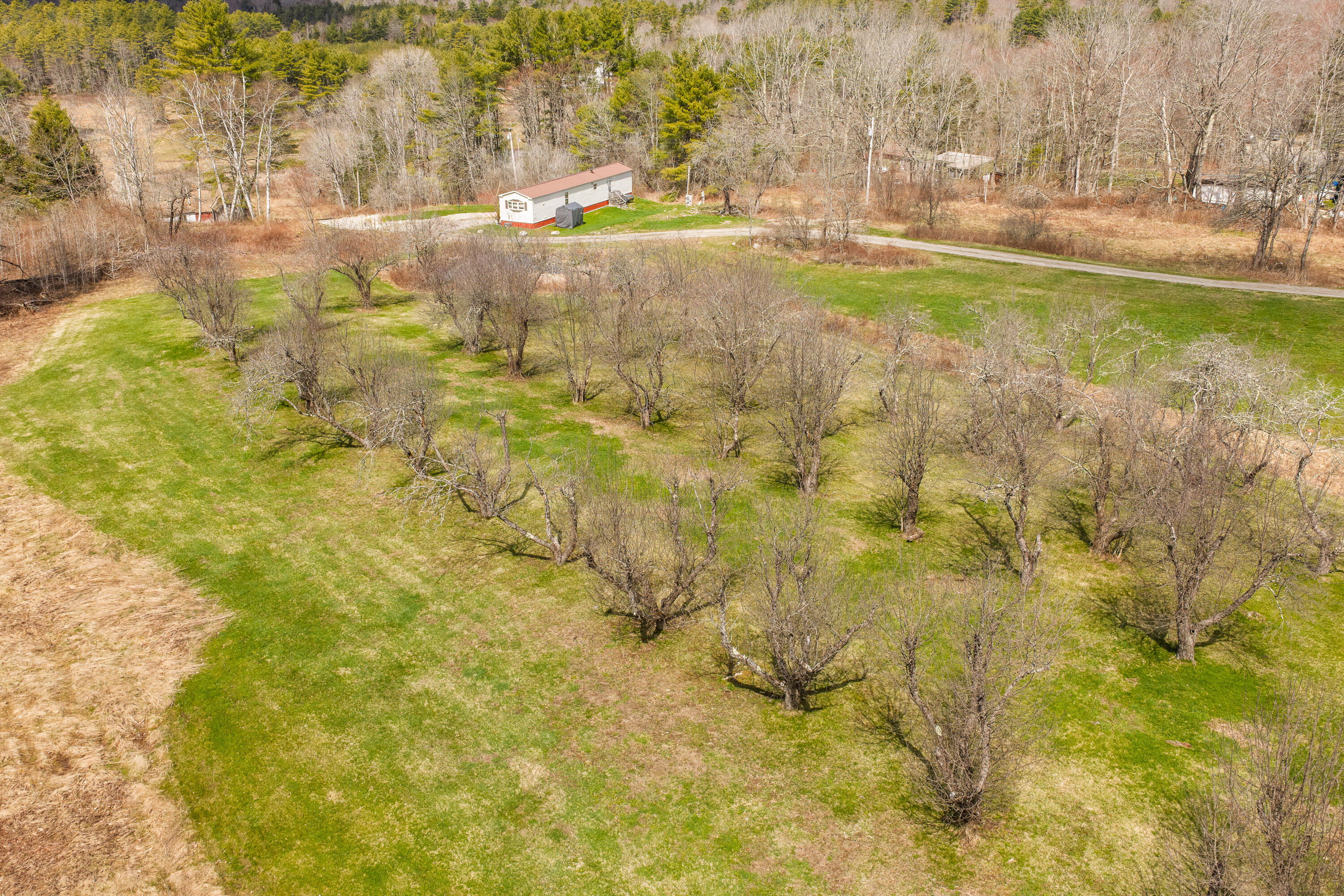 main property photo 13