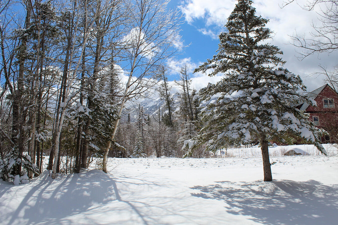 property viewer photo 24