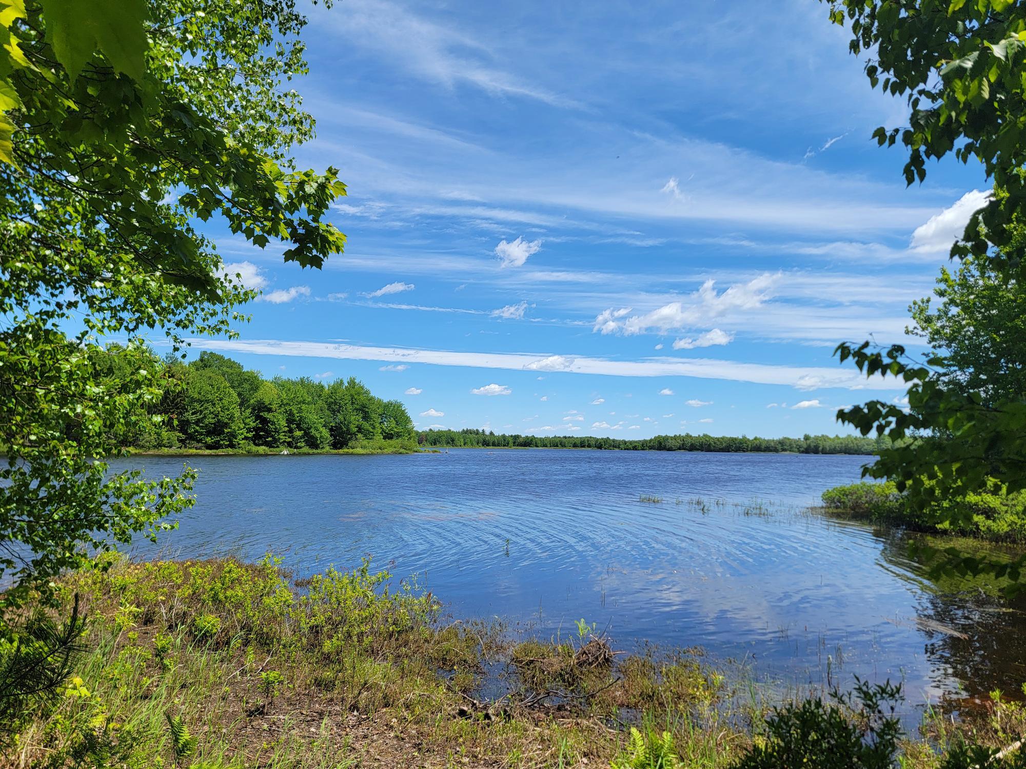 main property photo 53