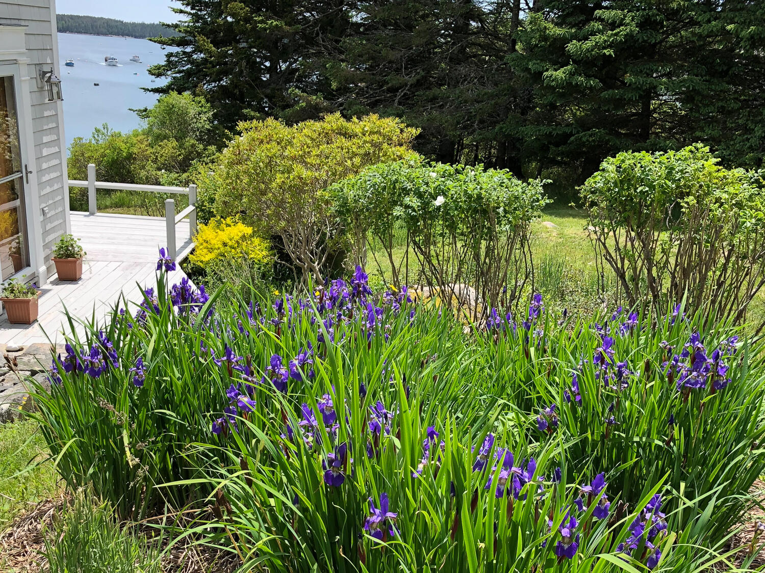 main property photo 30