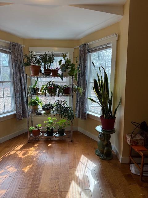 main property photo 41