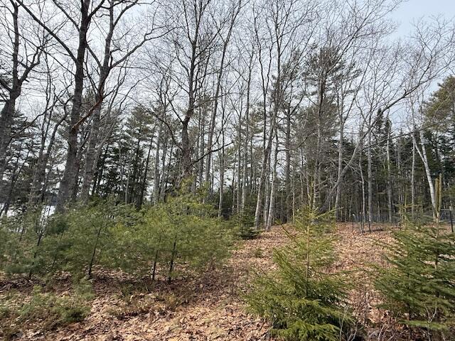 main property photo 84