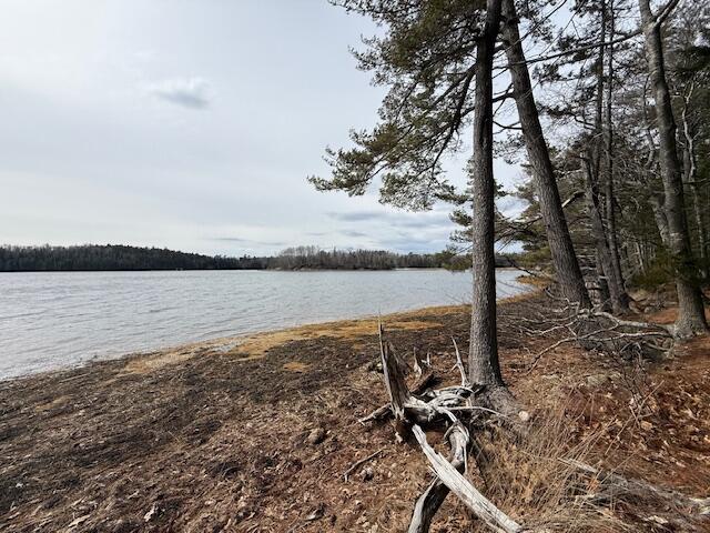 main property photo 87