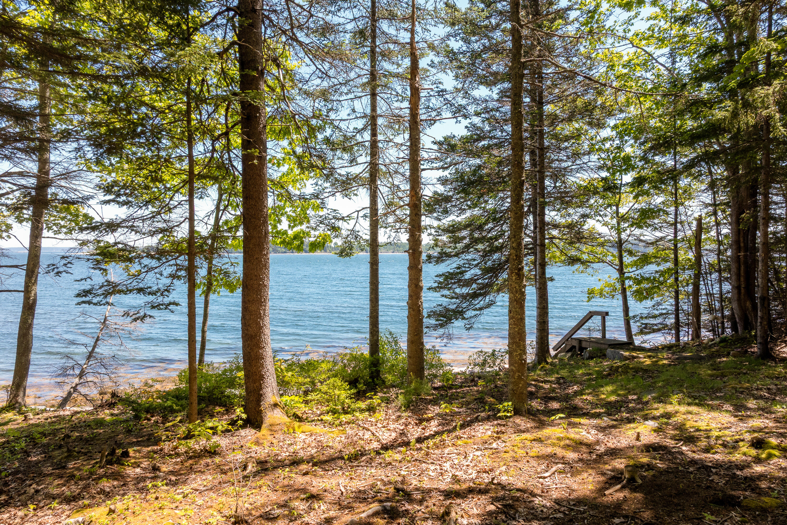 main property photo 87