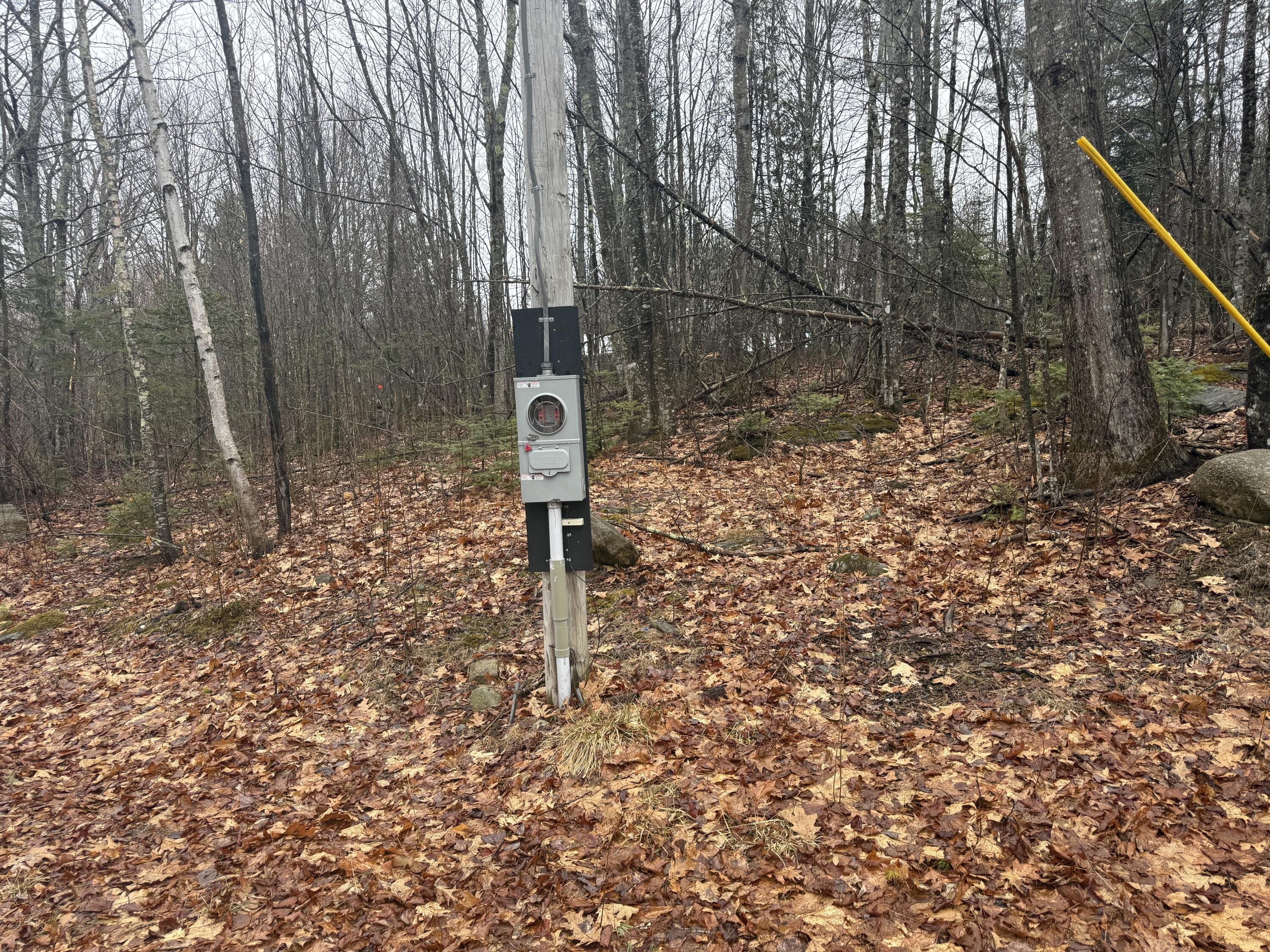 main property photo 4