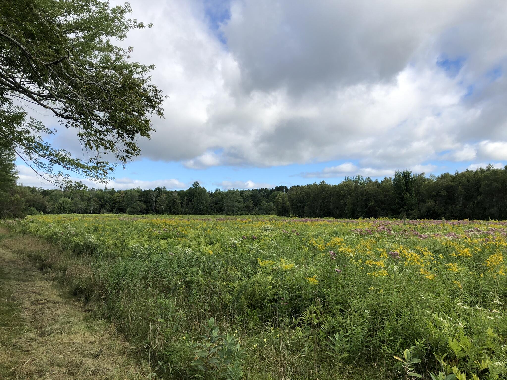 main property photo 87