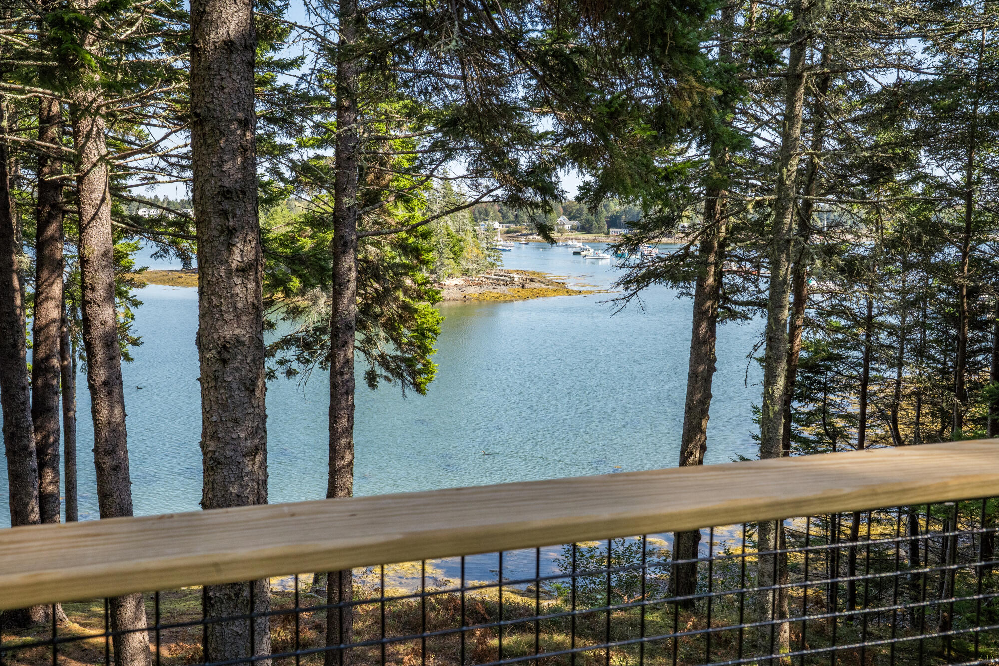 main property photo 37