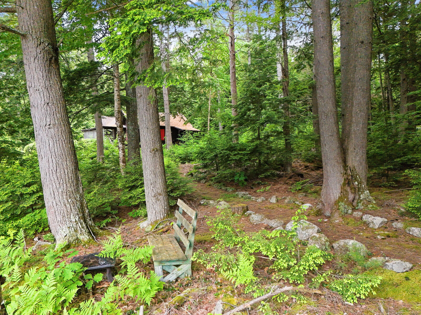 main property photo 80