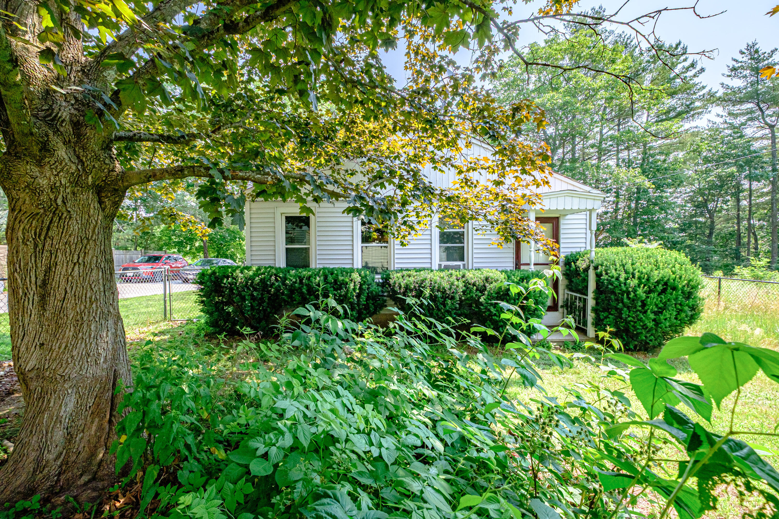 main property photo 54