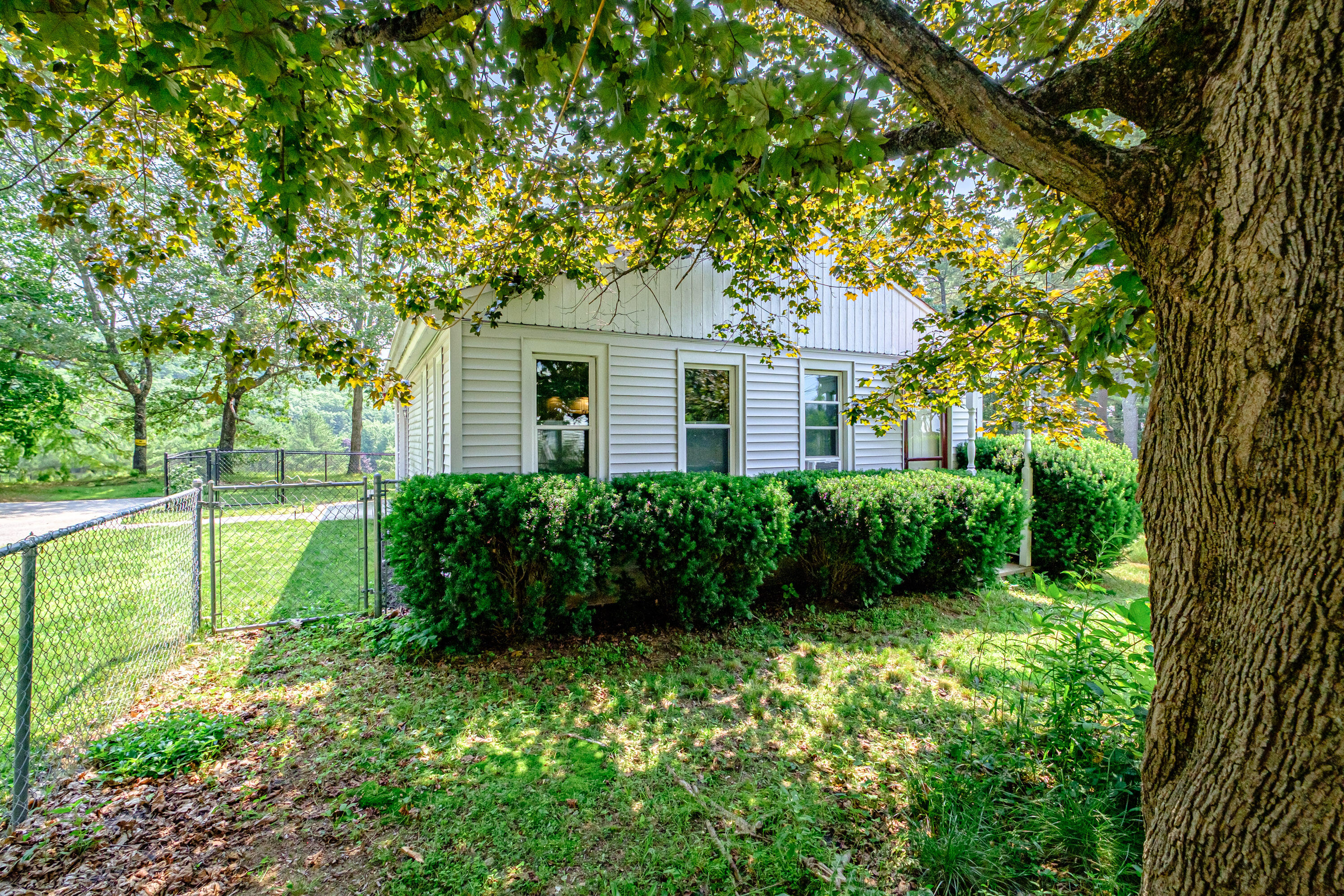 main property photo 59