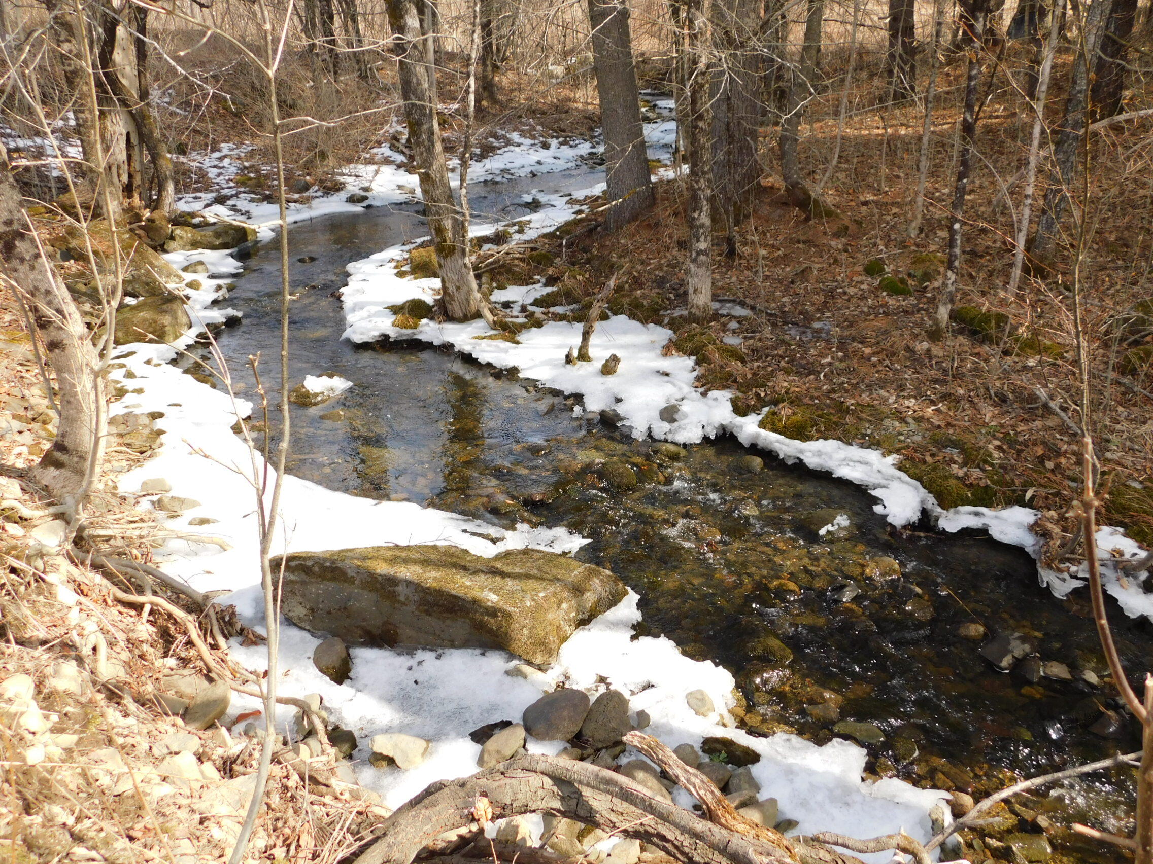 main property photo 11