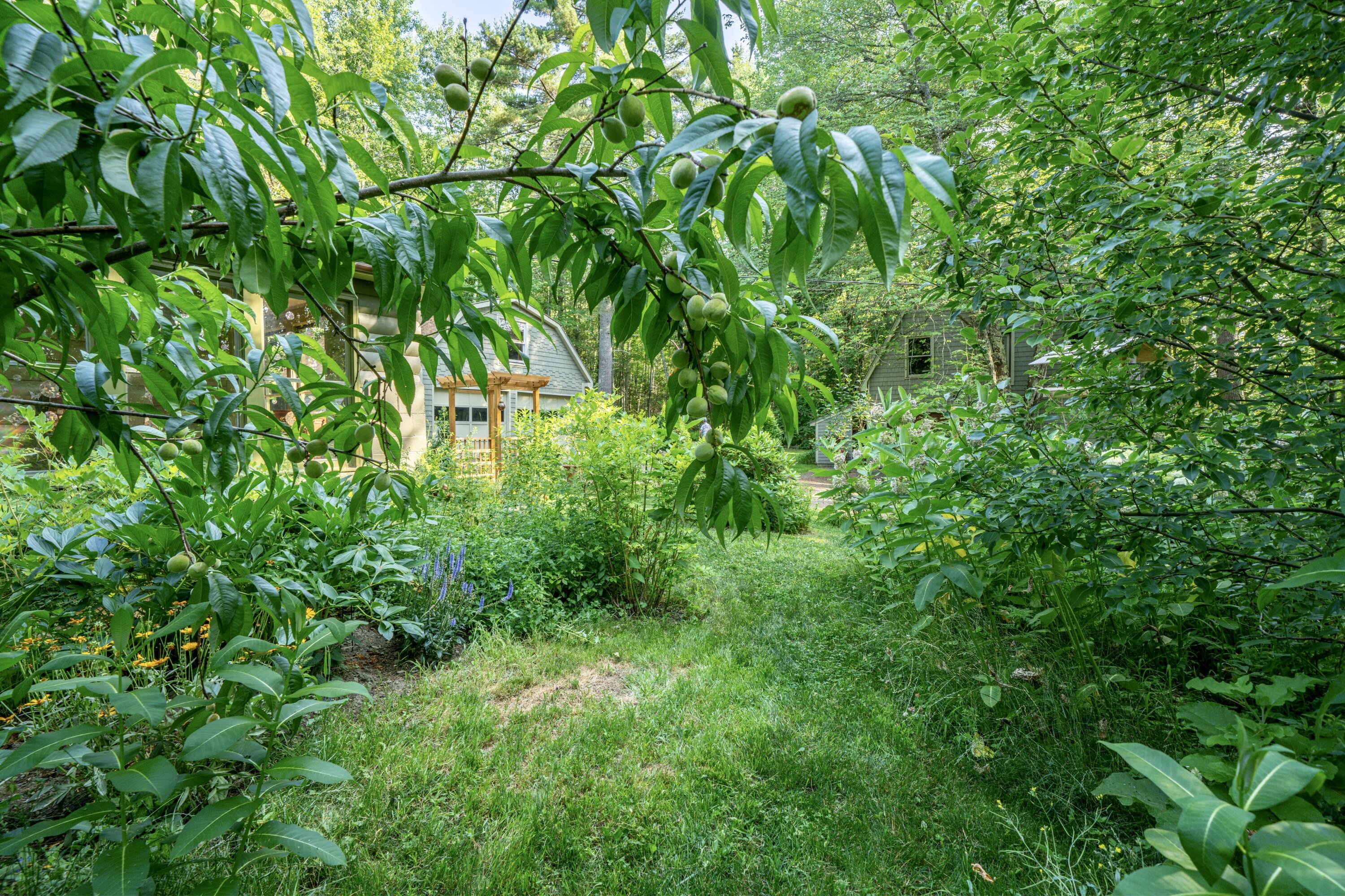 main property photo 53