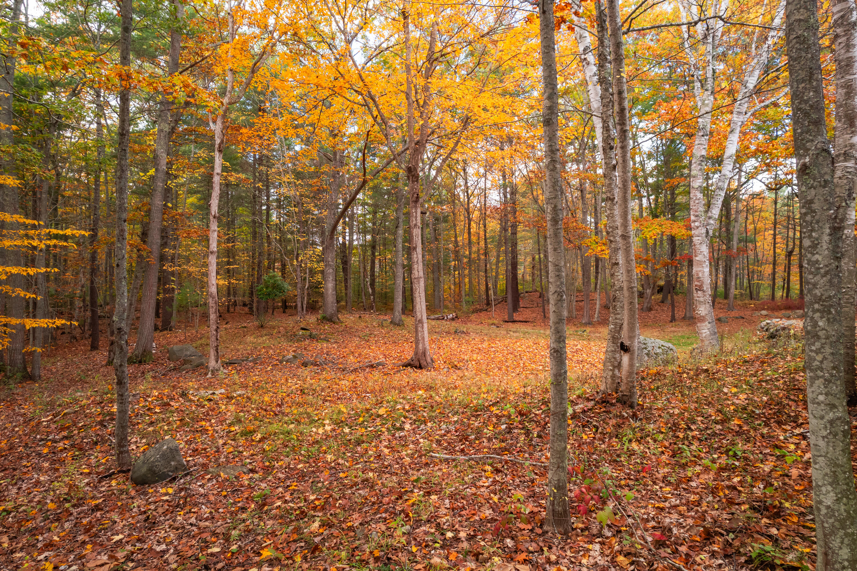main property photo 12