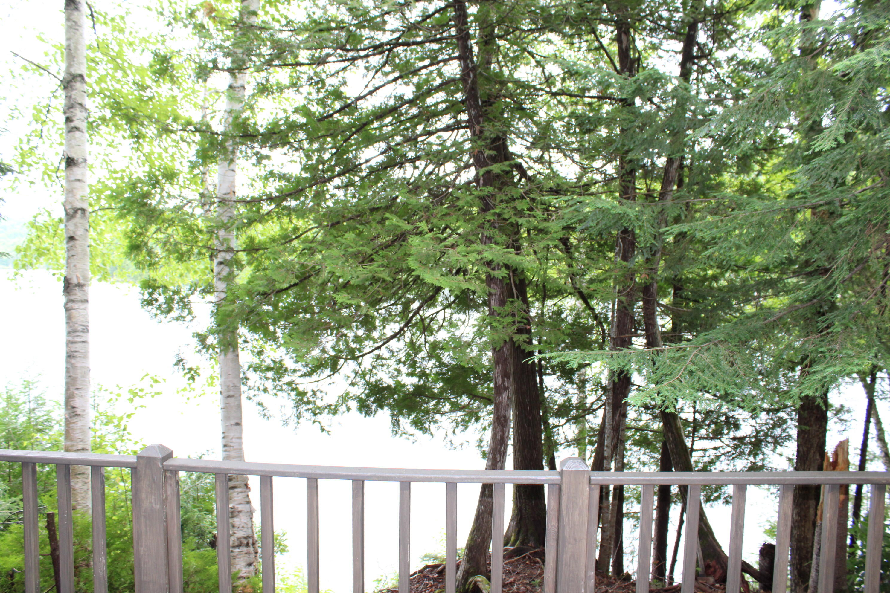 property viewer photo 5