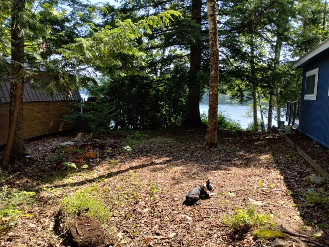 property viewer photo 8