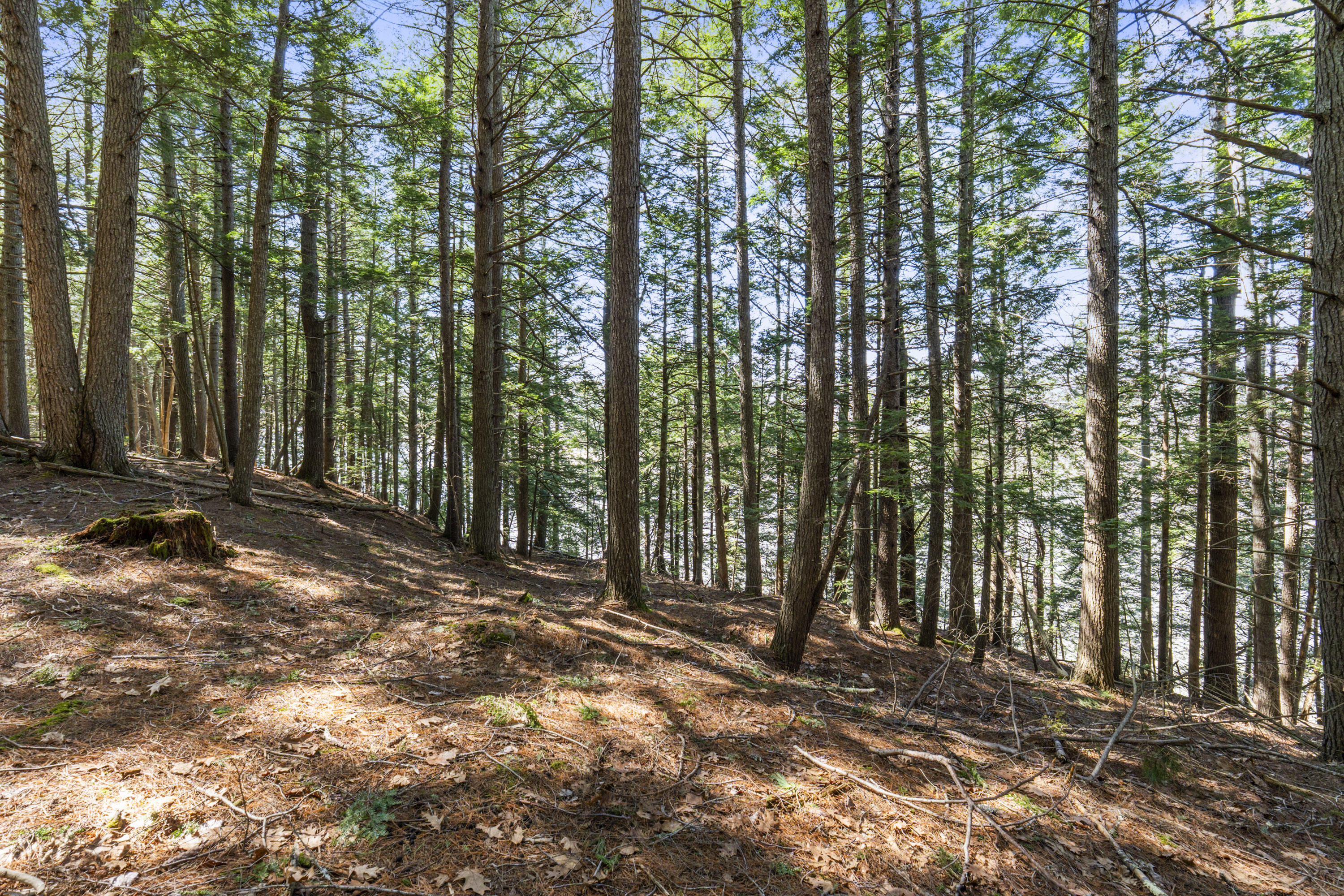 main property photo 53